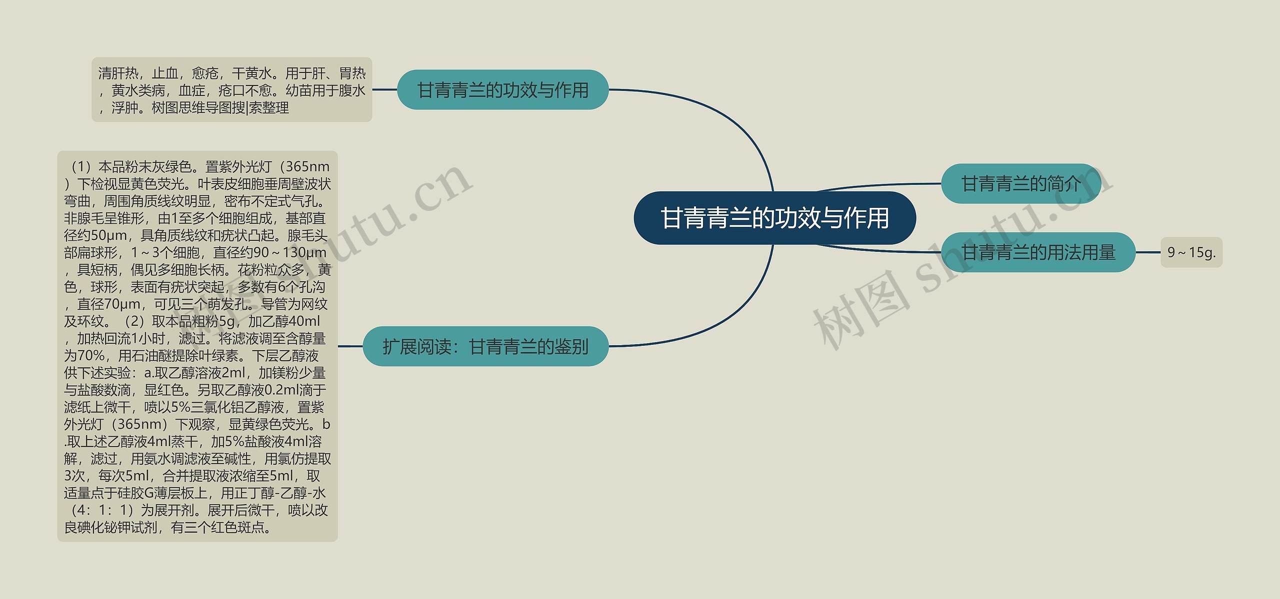 甘青青兰的功效与作用思维导图