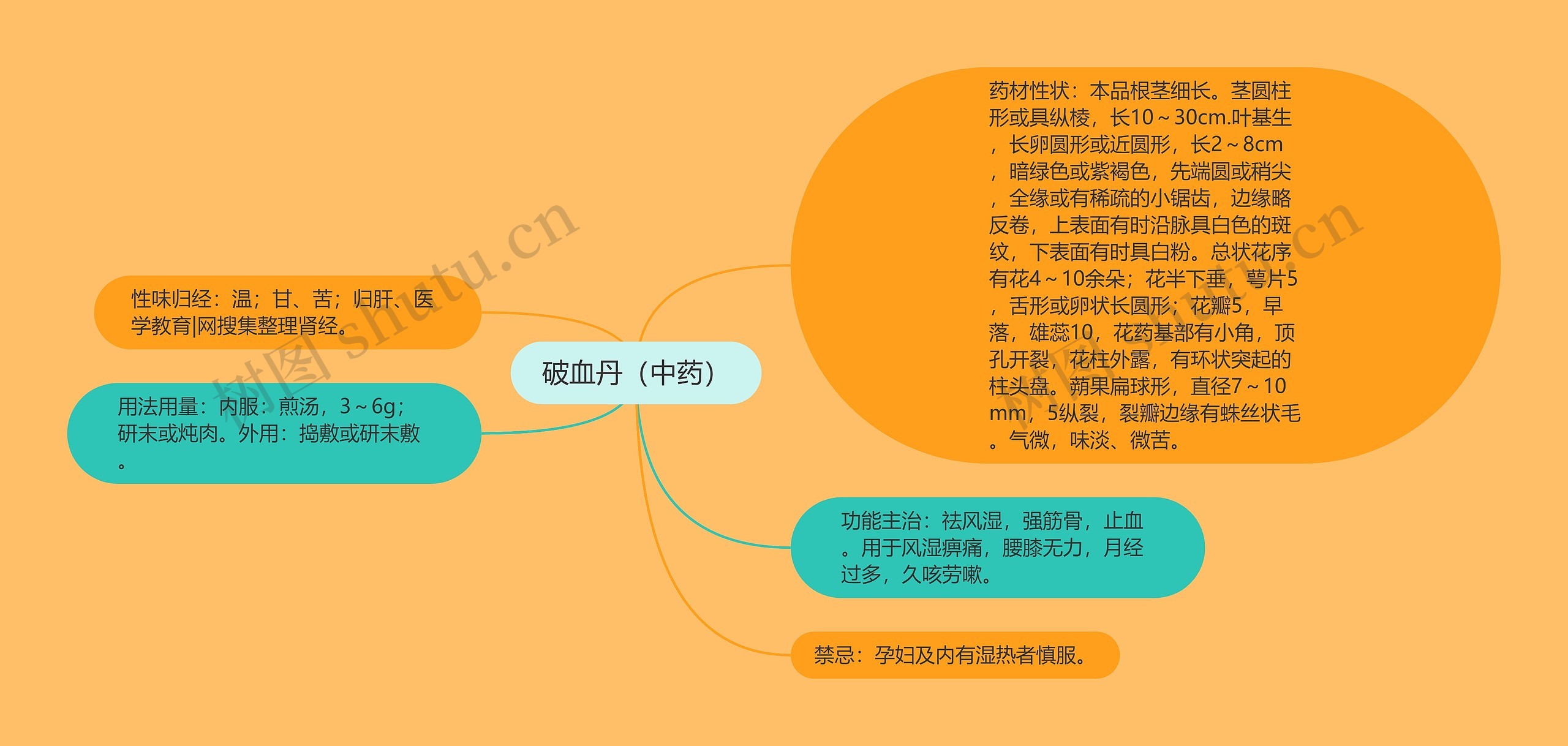 破血丹（中药）思维导图