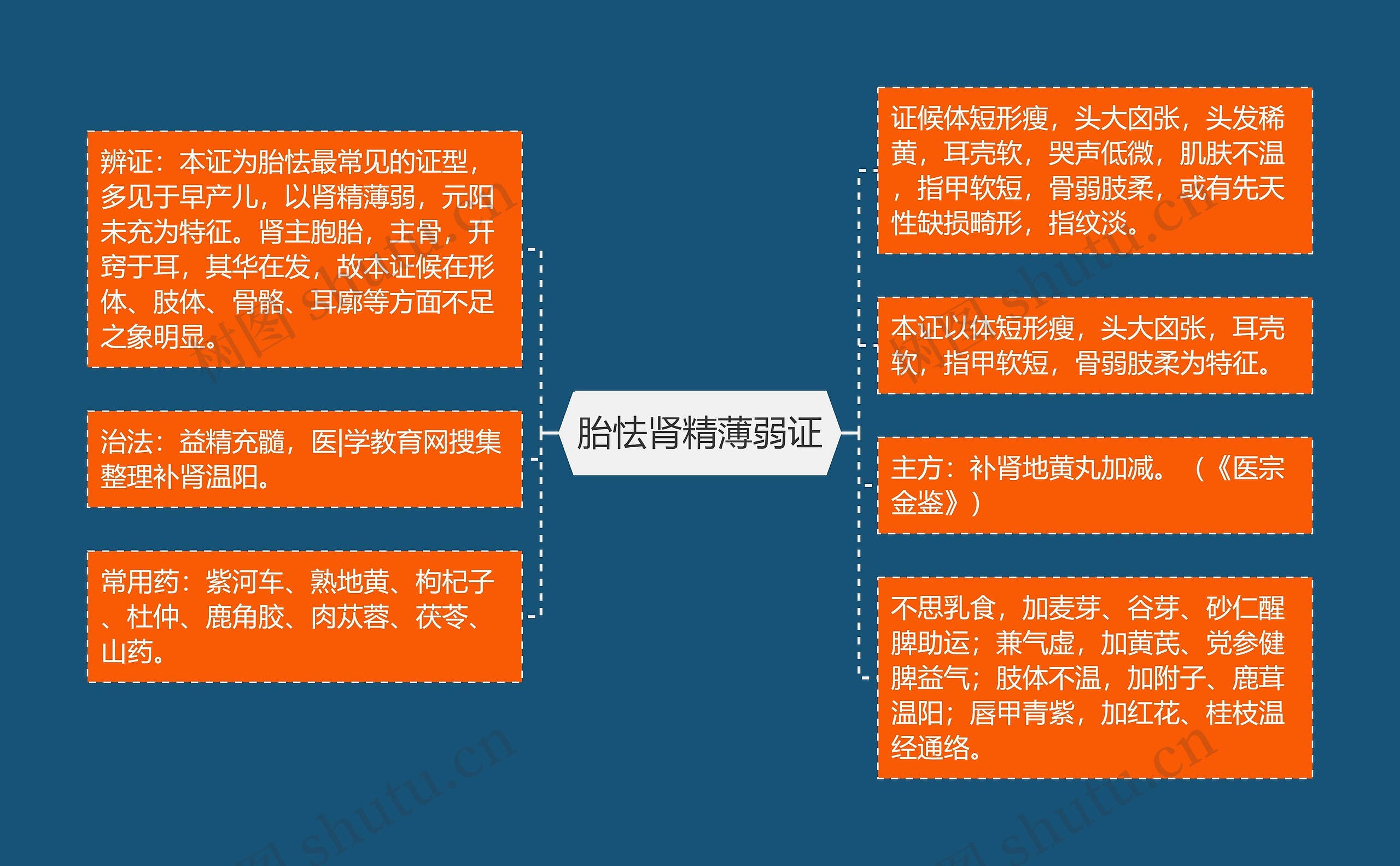 胎怯肾精薄弱证思维导图