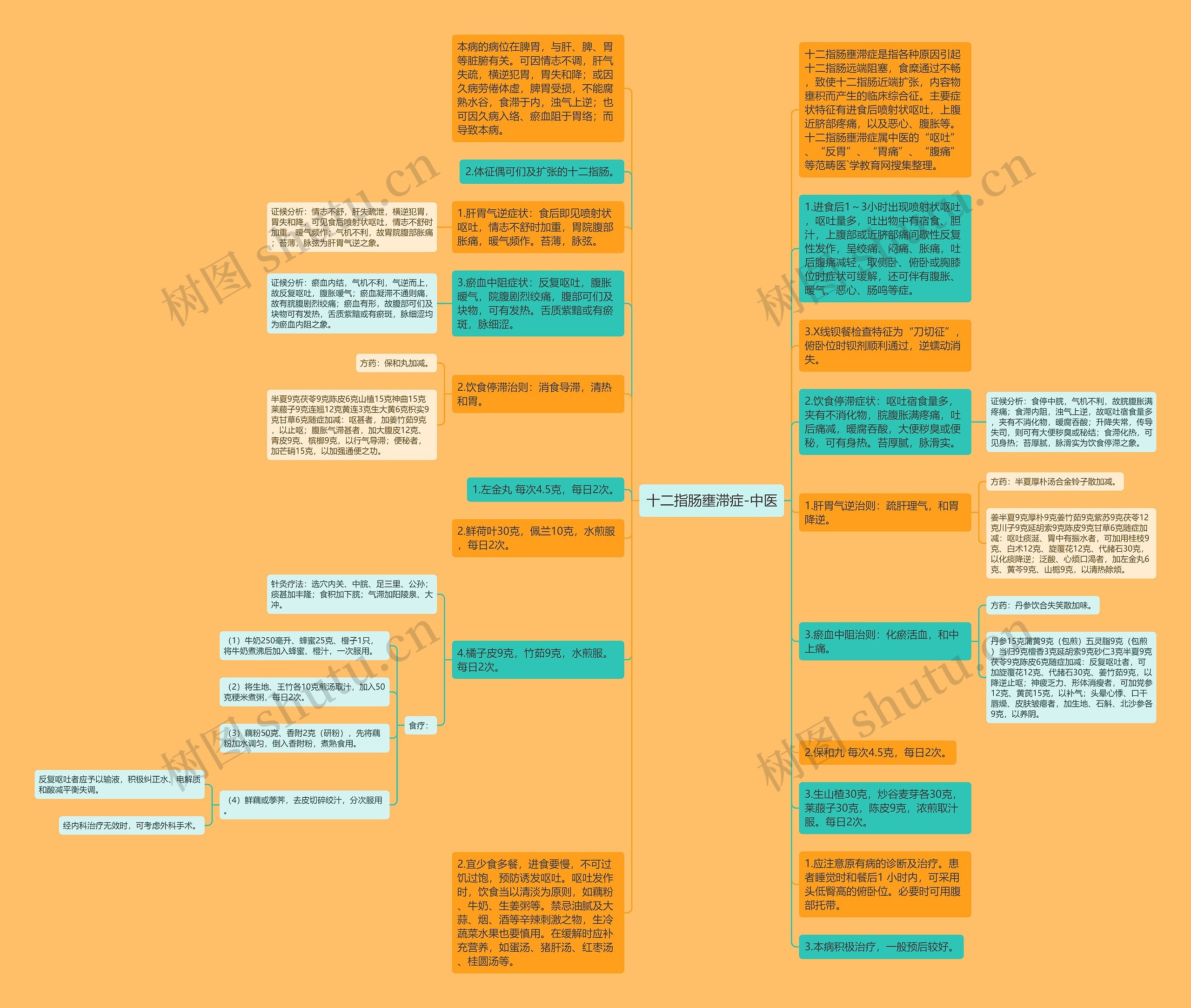 十二指肠壅滞症-中医思维导图