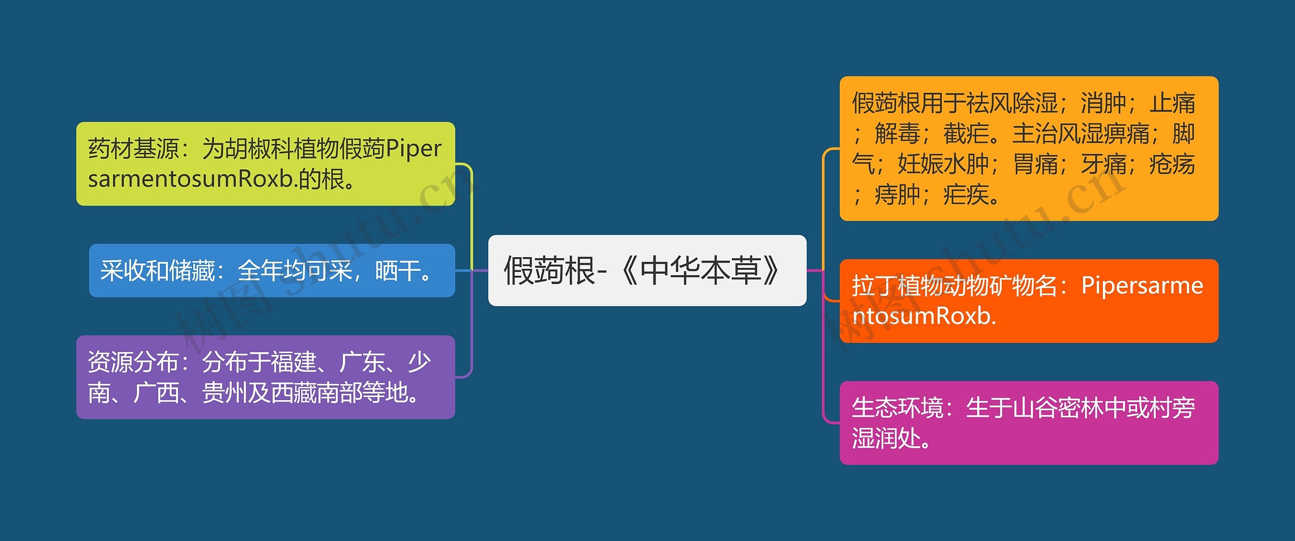 假蒟根-《中华本草》思维导图