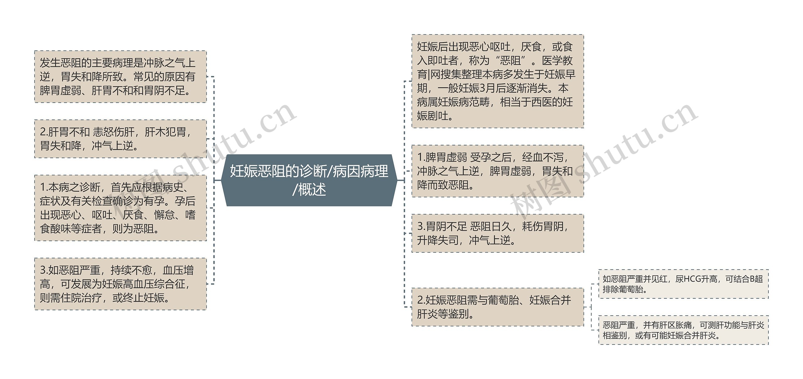 妊娠恶阻的诊断/病因病理/概述