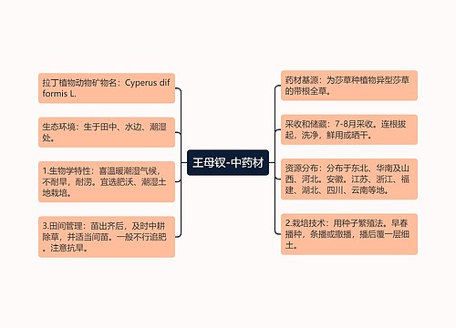 王母钗-中药材