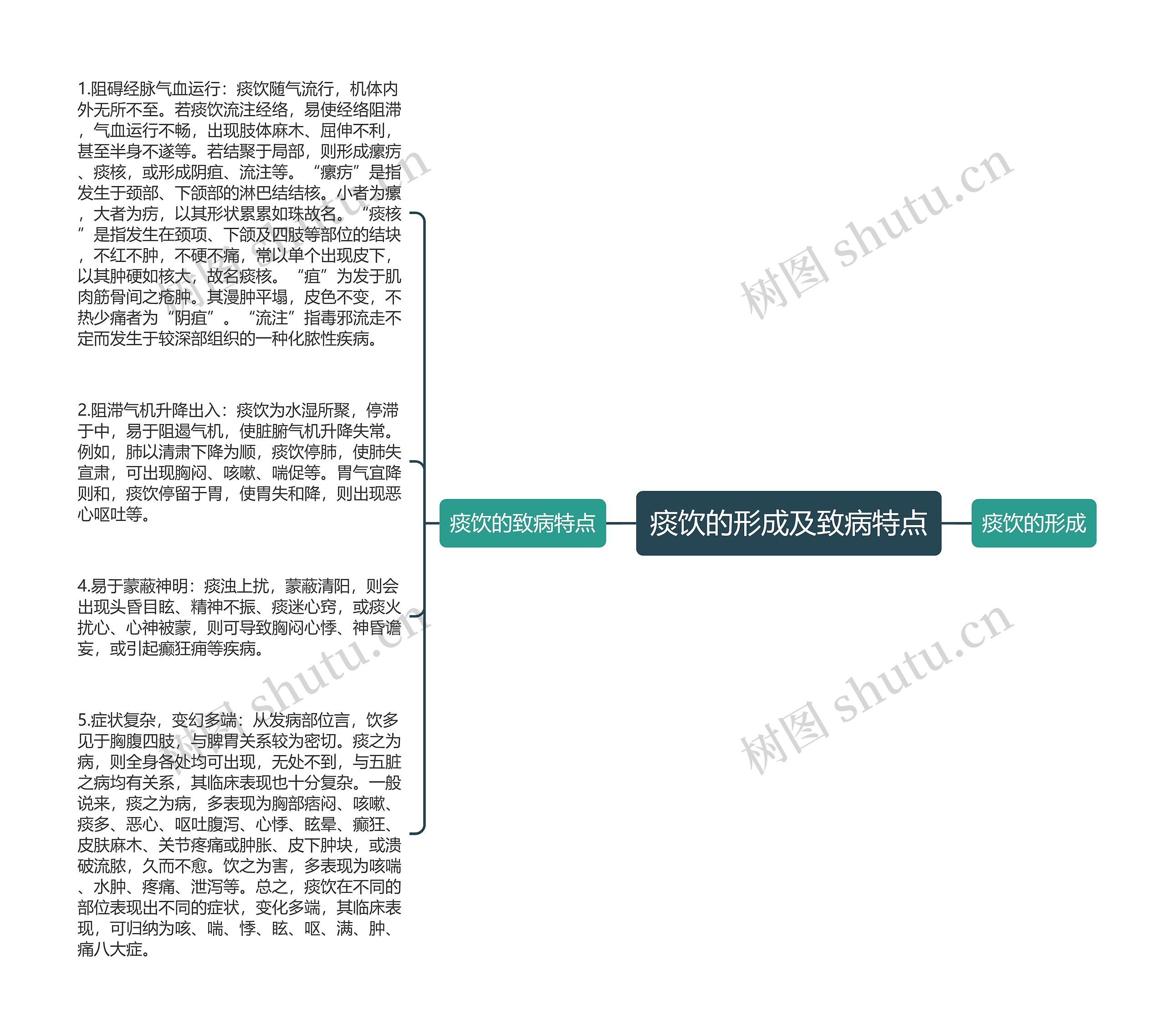 痰饮的形成及致病特点思维导图