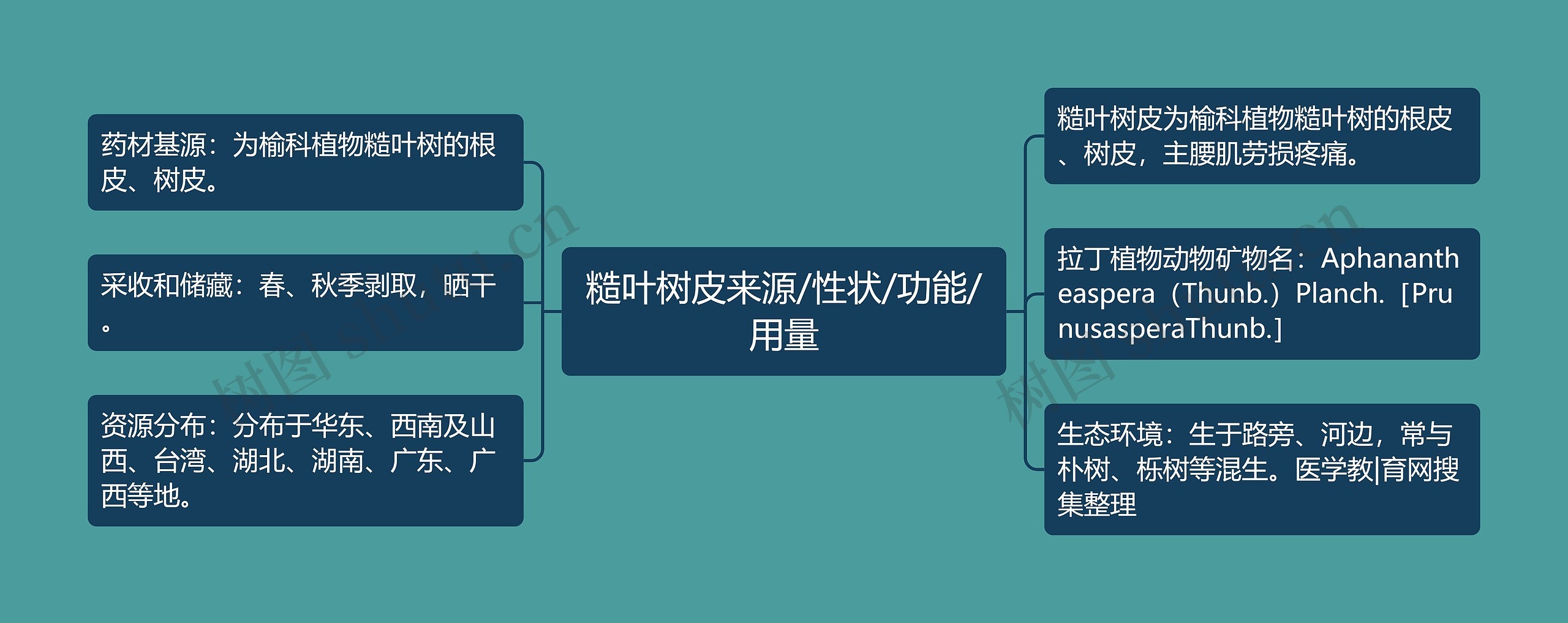 糙叶树皮来源/性状/功能/用量思维导图