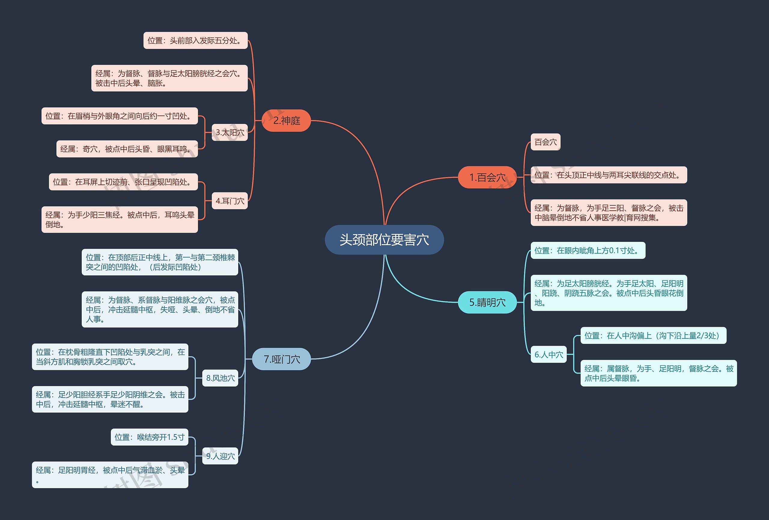 头颈部位要害穴思维导图