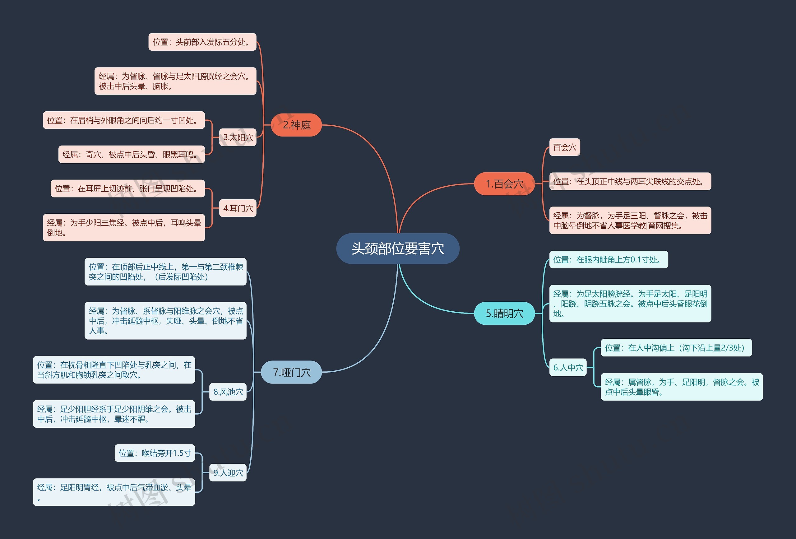 头颈部位要害穴 头颈部位要害穴