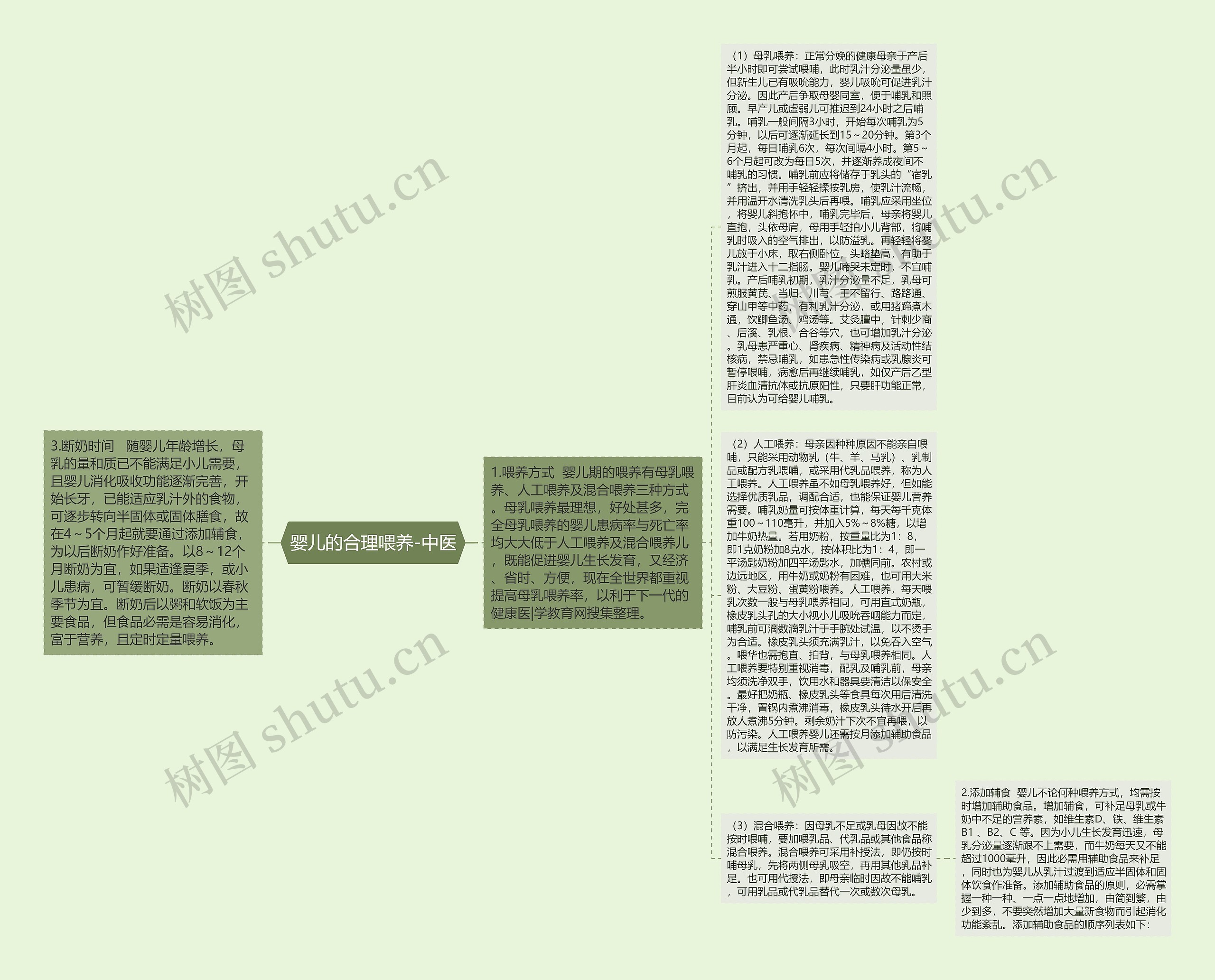 婴儿的合理喂养-中医思维导图