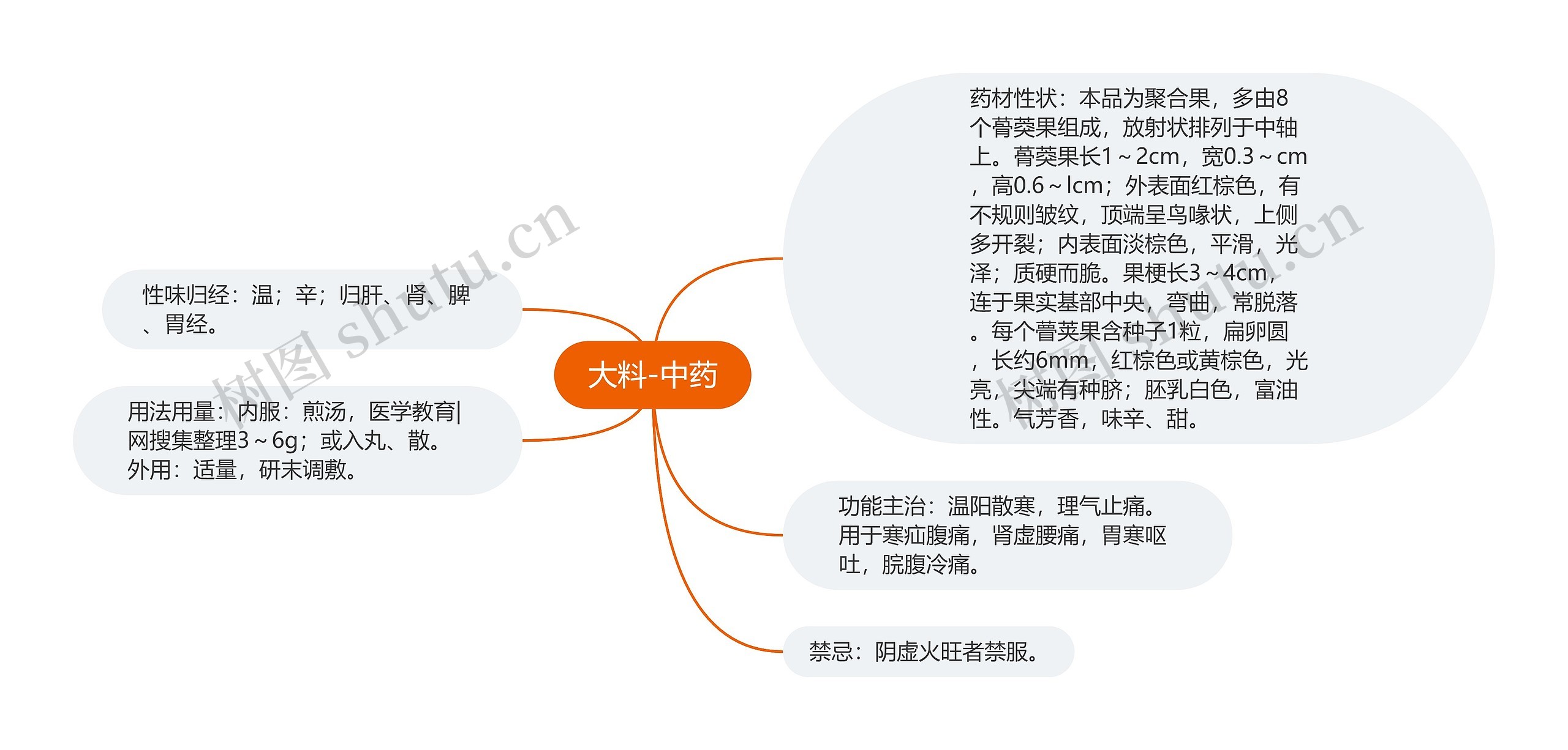 大料-中药思维导图