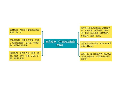 南方荚蒾-《中国高等植物图鉴》