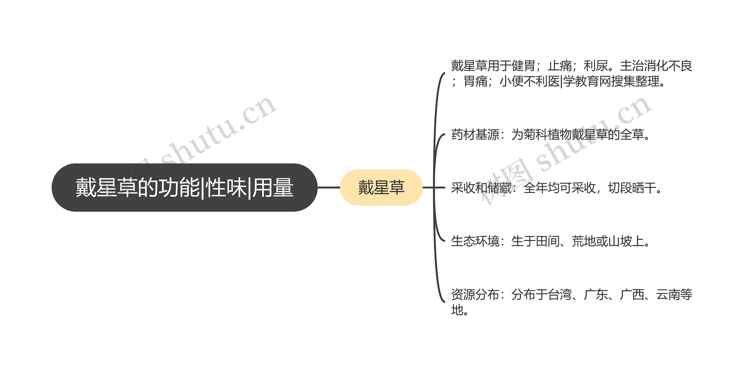 戴星草的功能|性味|用量