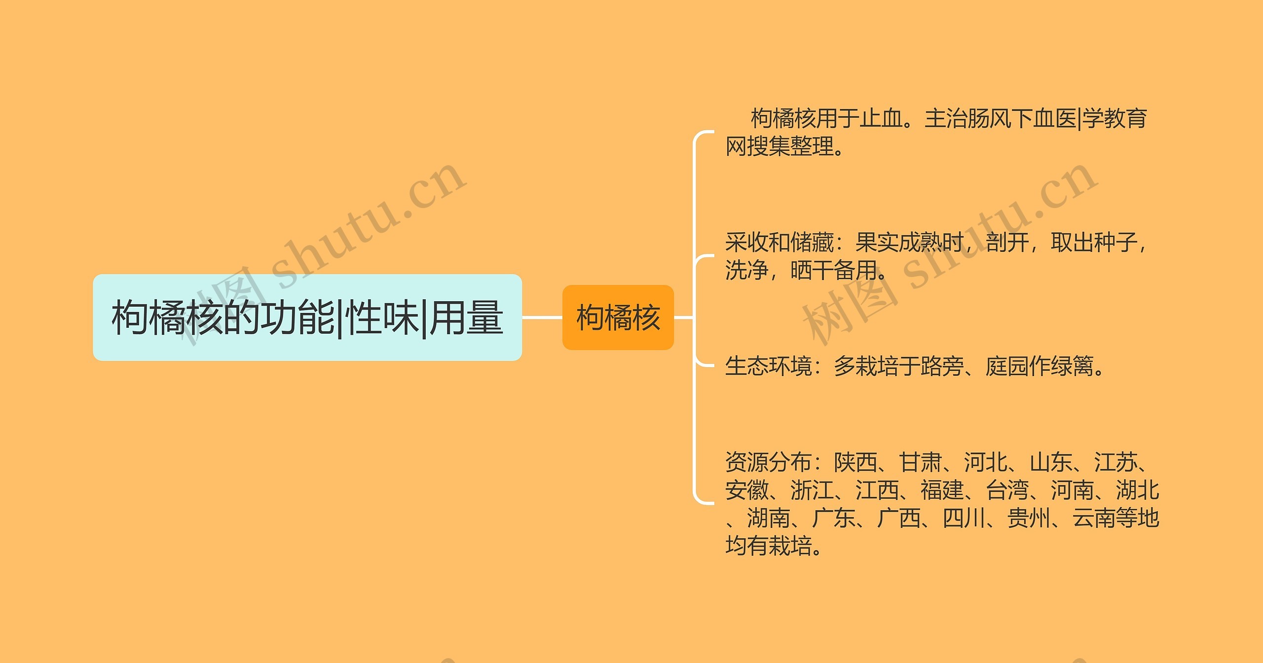 枸橘核的功能|性味|用量 枸橘核的功能|性味|用量