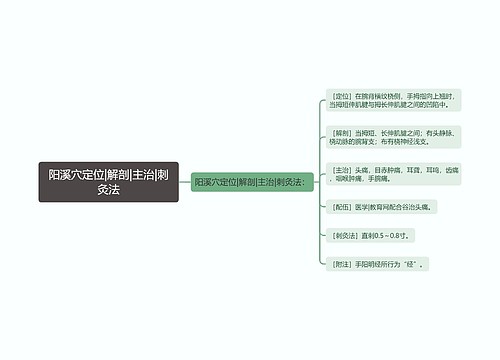 阳溪穴定位|解剖|主治|刺灸法思维导图