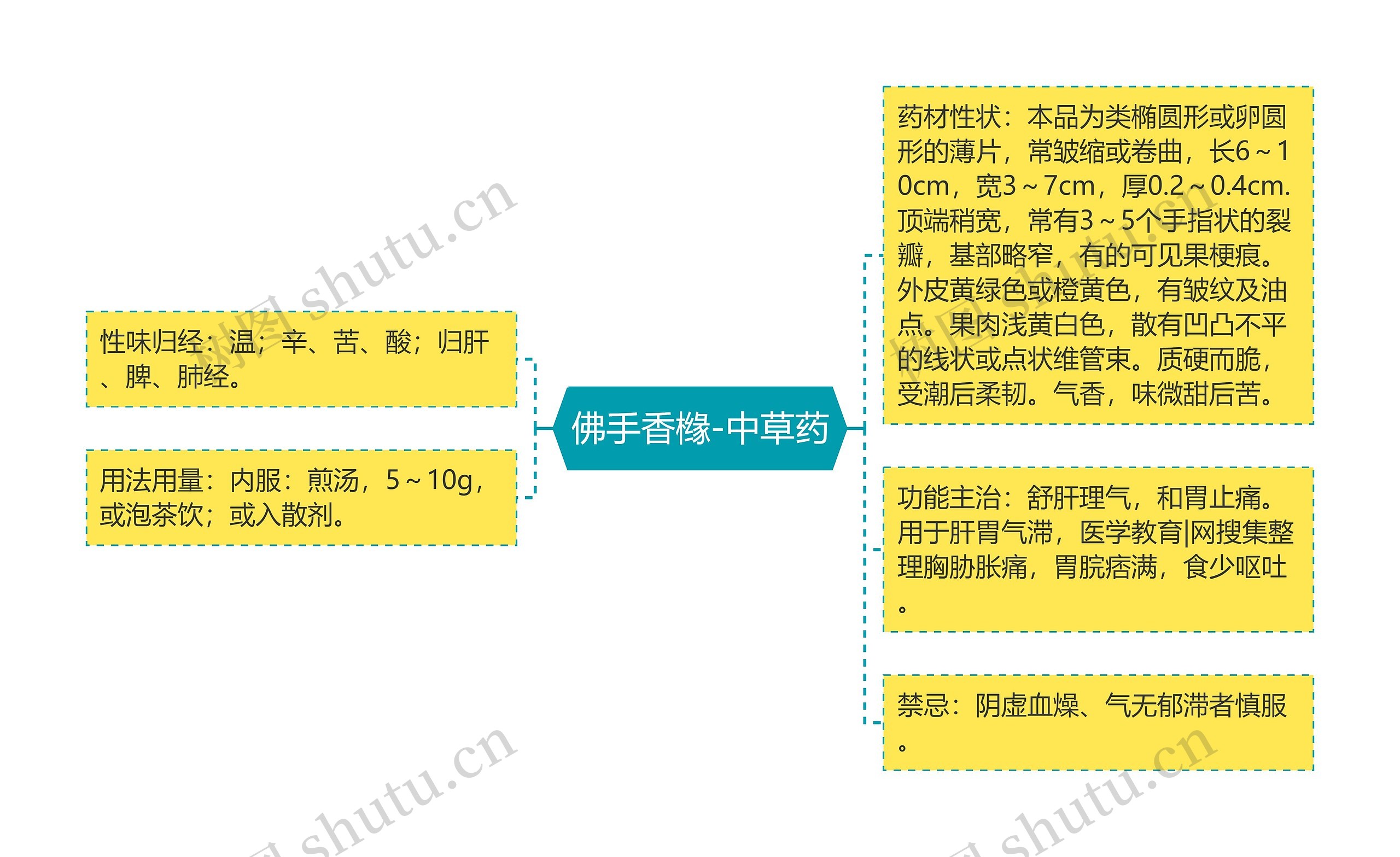 佛手香橼-中草药思维导图