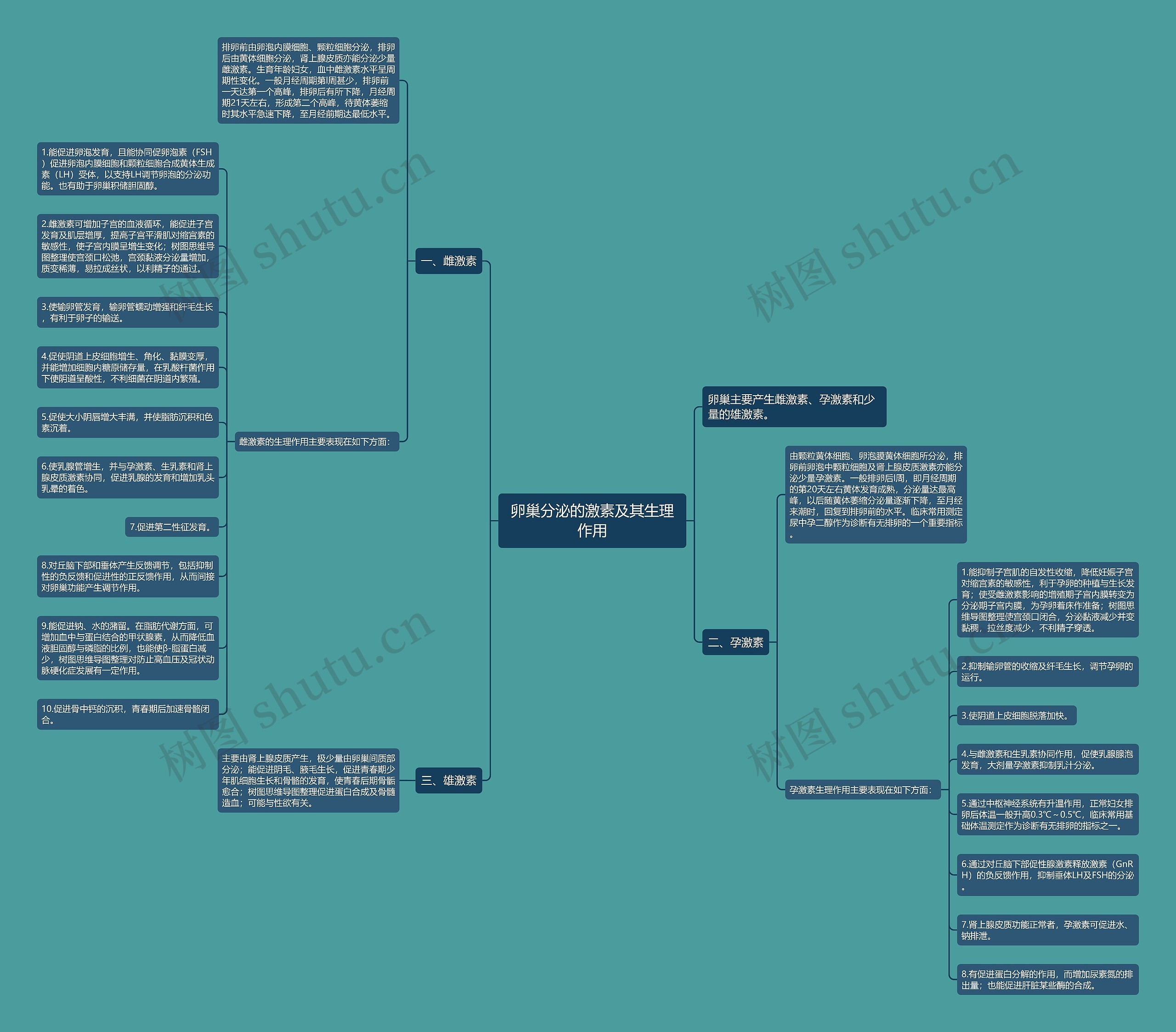 卵巢分泌的激素及其生理作用思维导图