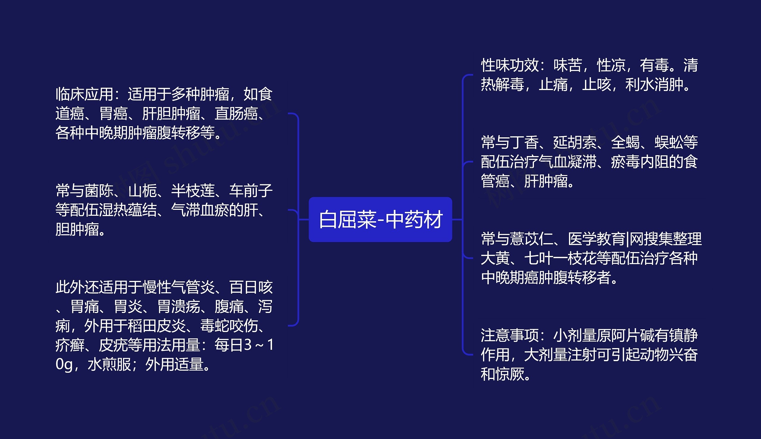 白屈菜-中药材思维导图