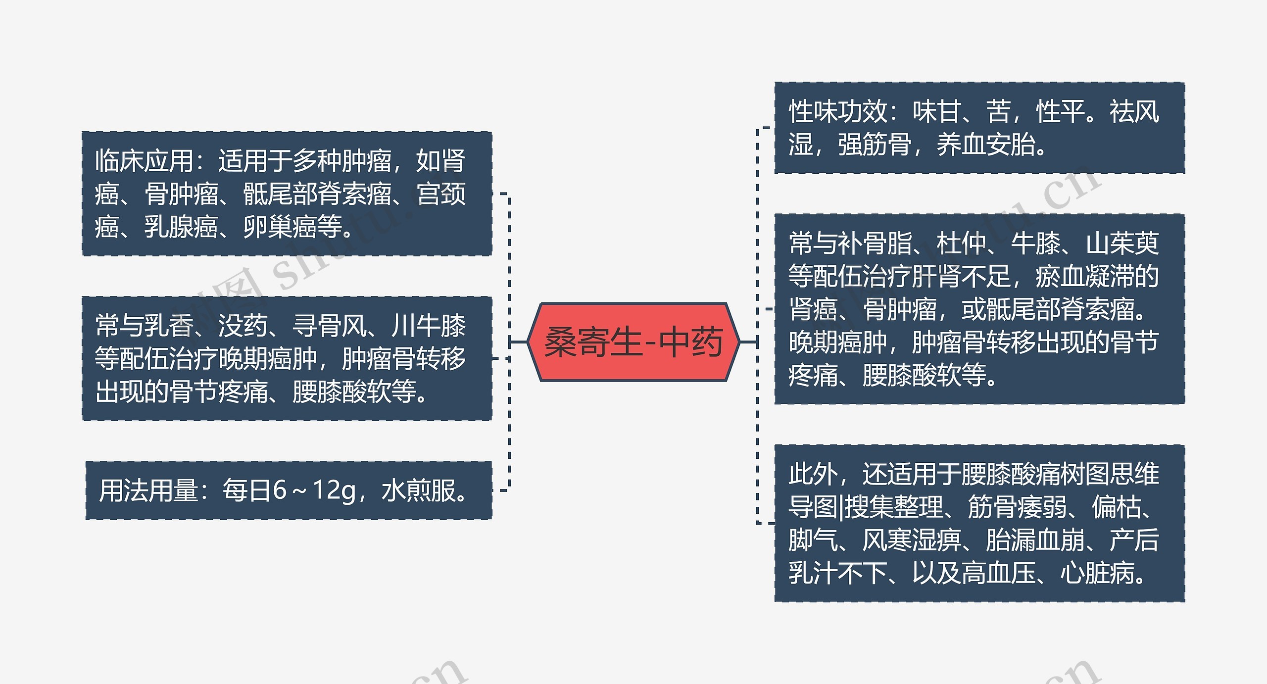 桑寄生-中药思维导图