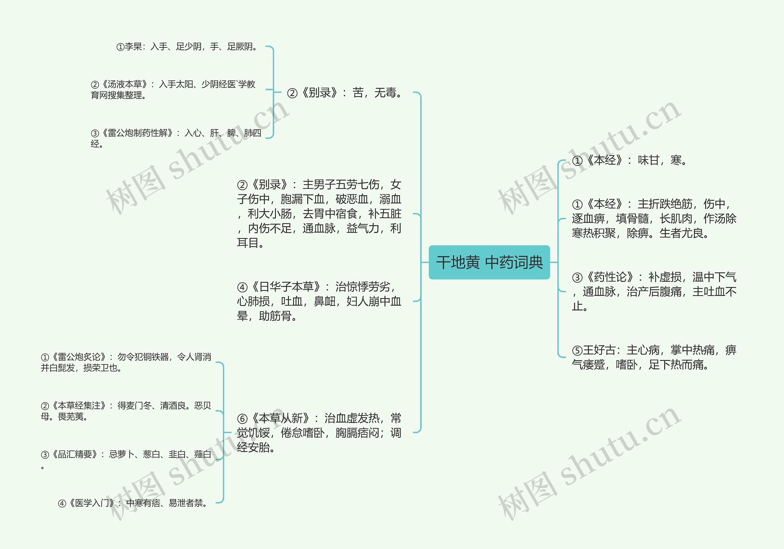 干地黄 中药词典思维导图