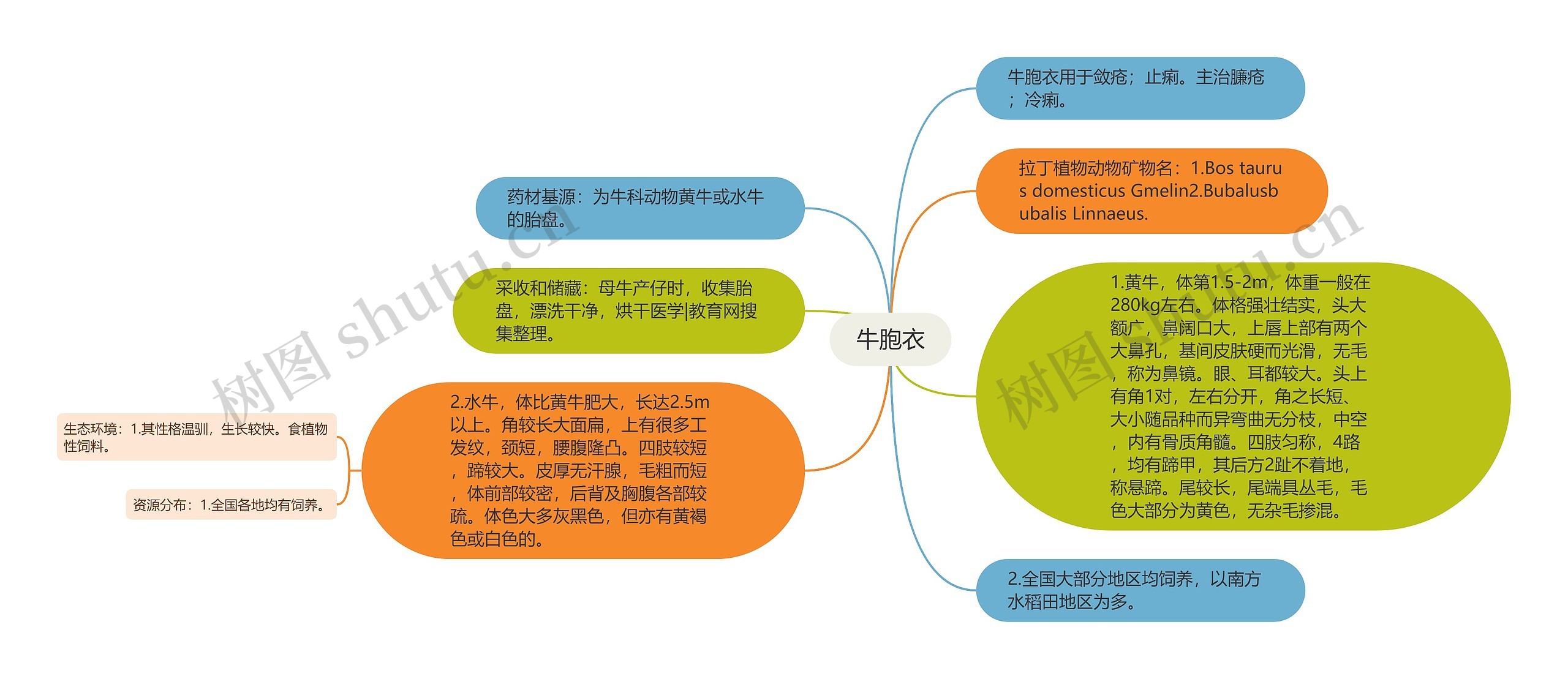 牛胞衣思维导图