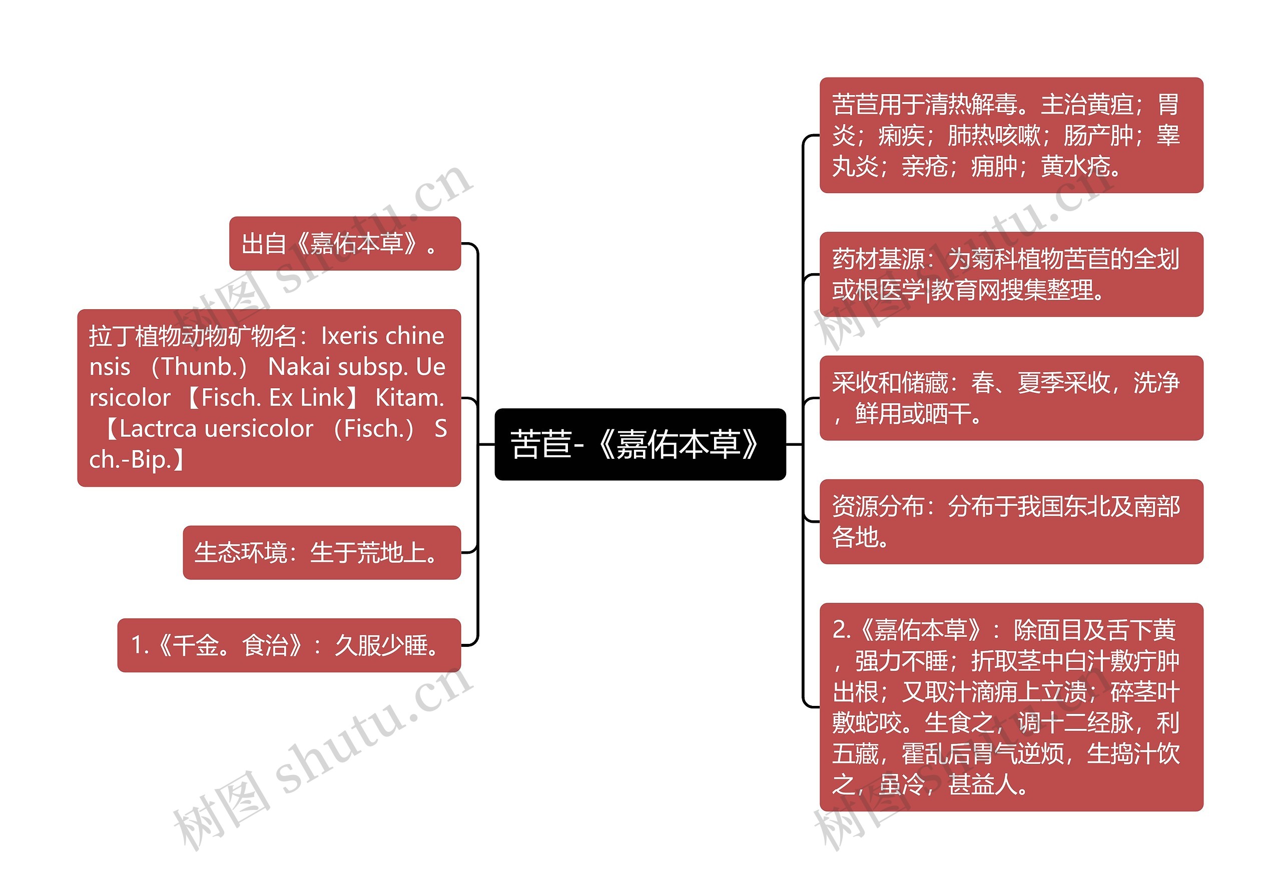 苦苣-《嘉佑本草》思维导图