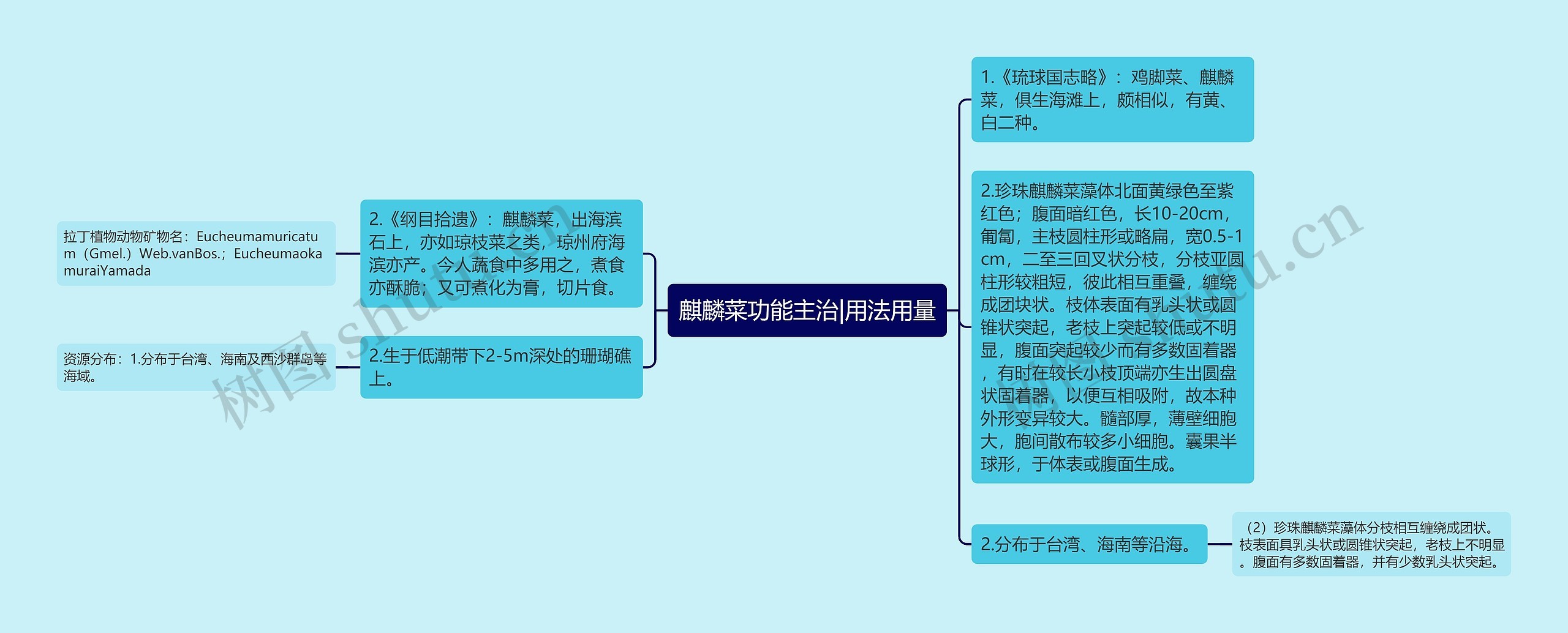 麒麟菜功能主治|用法用量