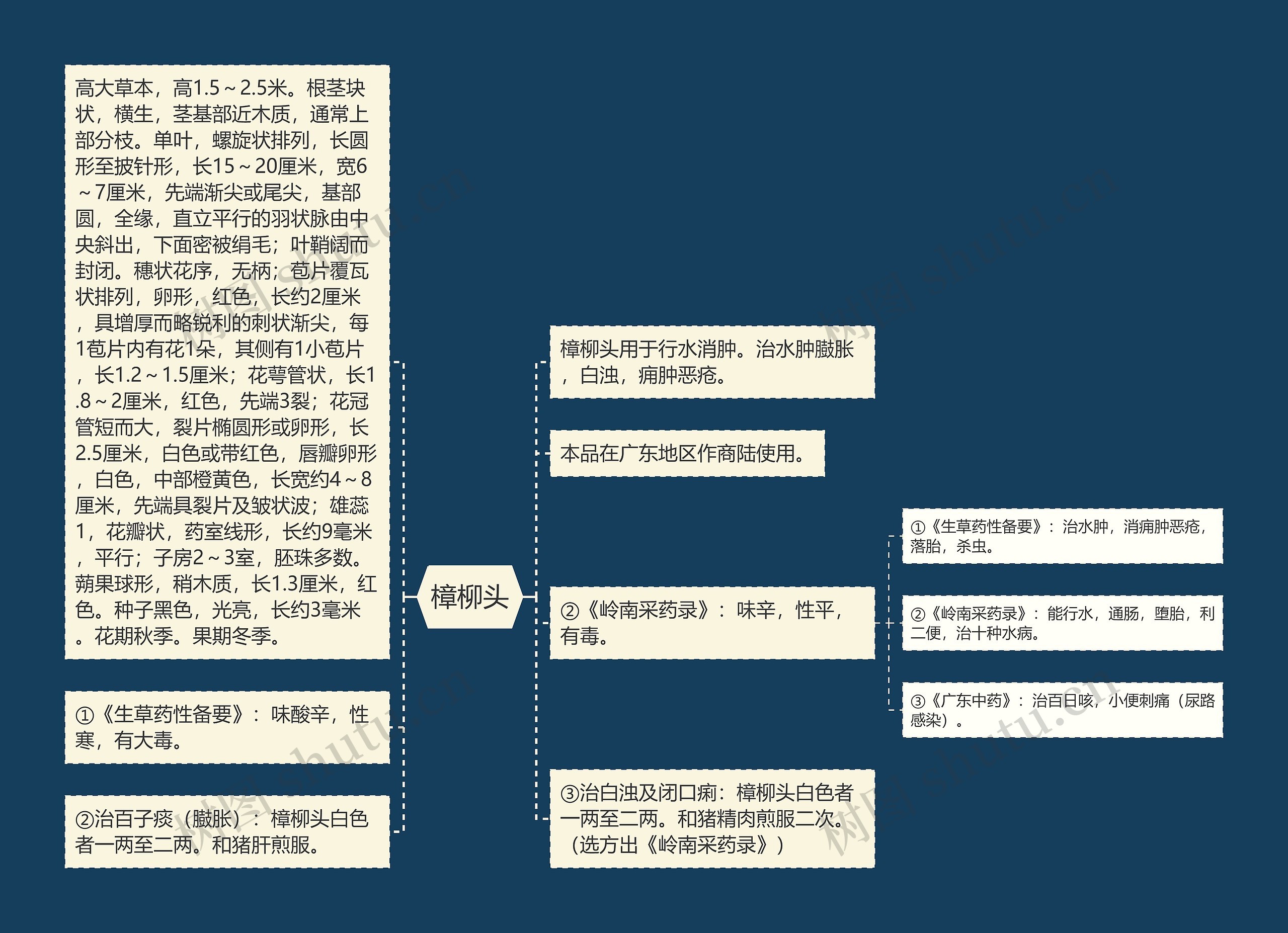 樟柳头思维导图