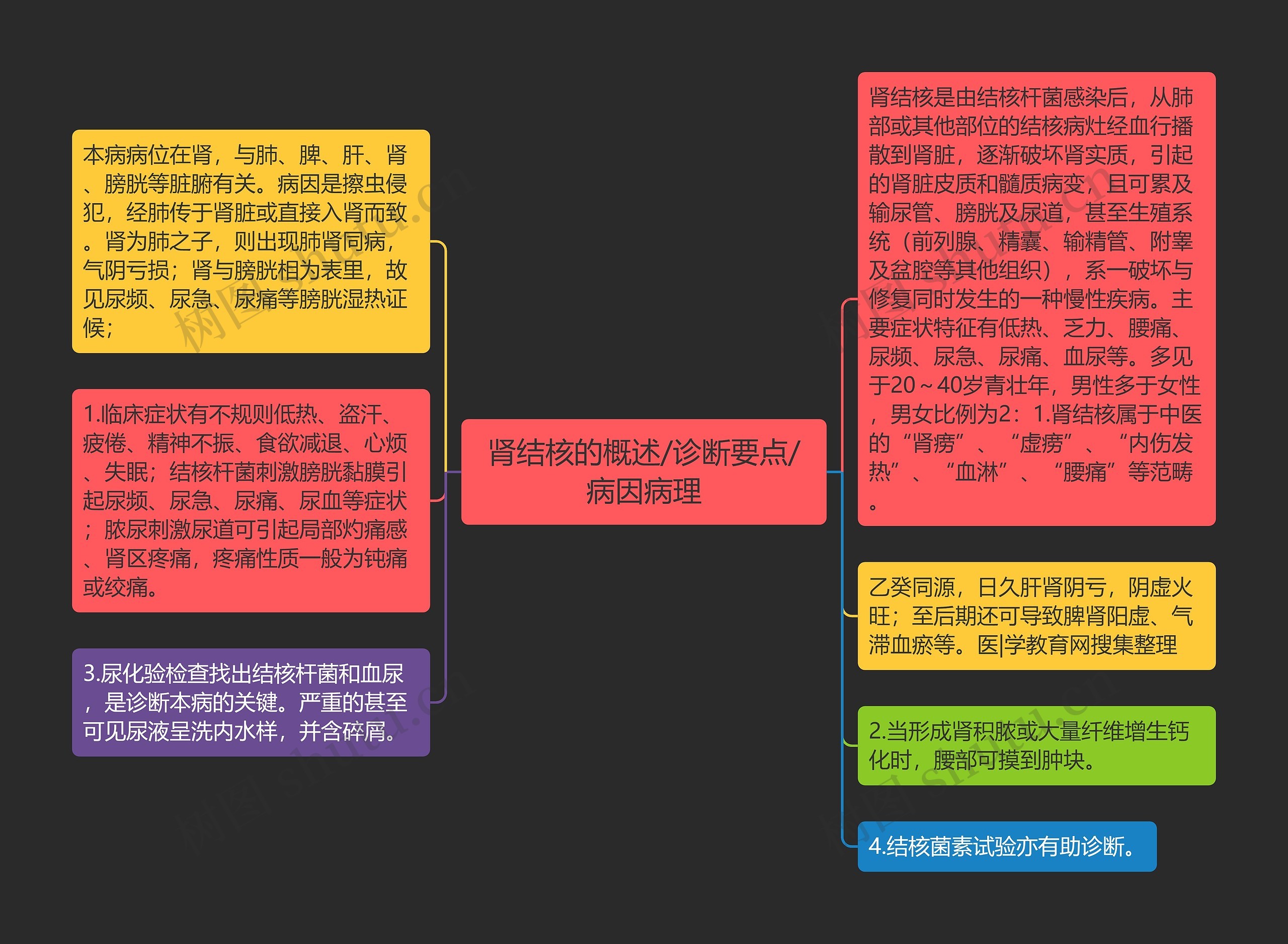 肾结核的概述/诊断要点/病因病理思维导图