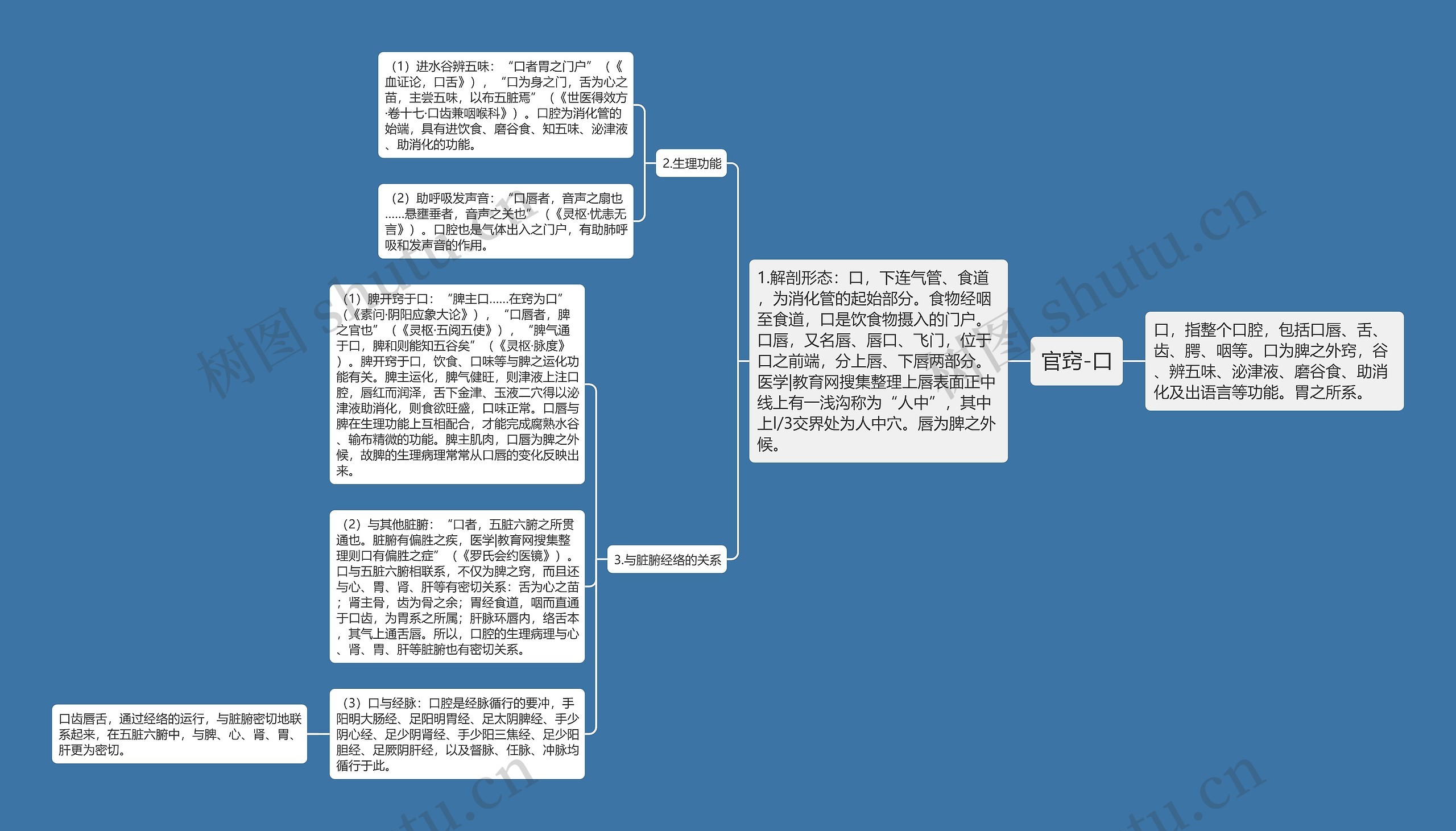 官窍-口思维导图