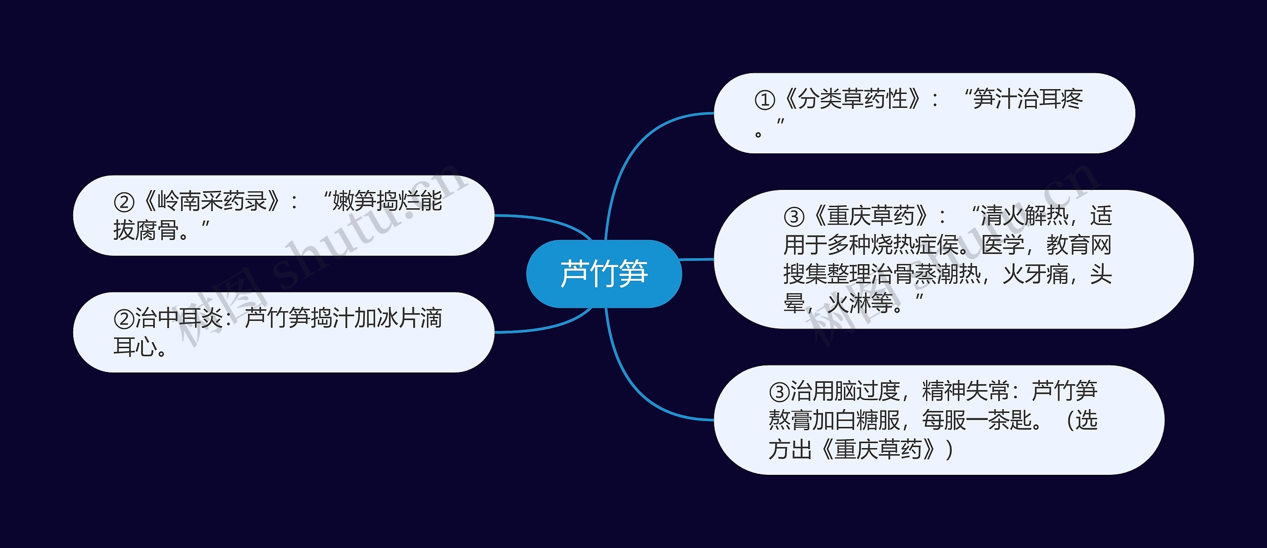 芦竹笋思维导图