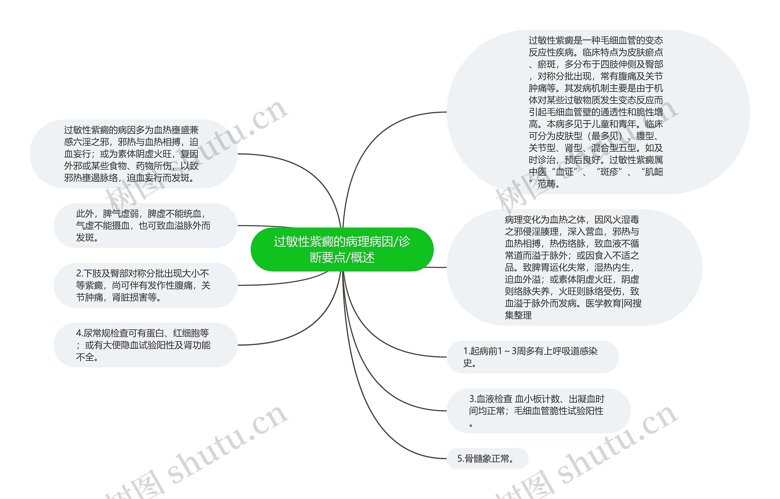 过敏性紫癜的病理病因/诊断要点/概述思维导图