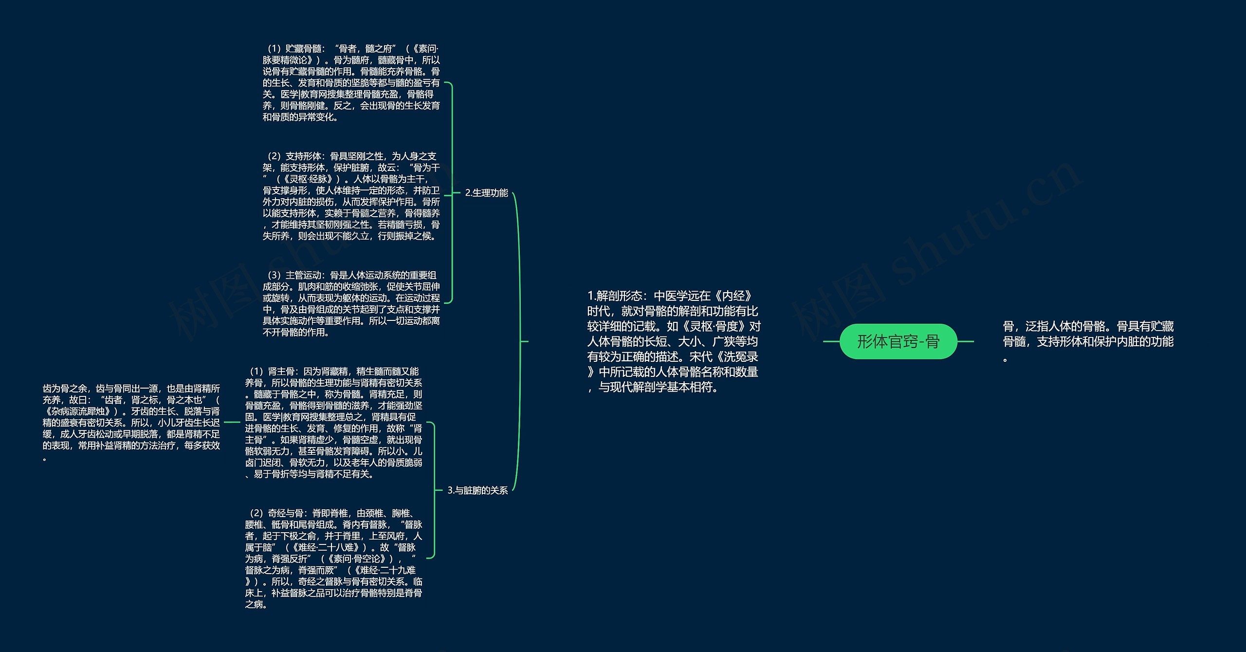 形体官窍-骨思维导图