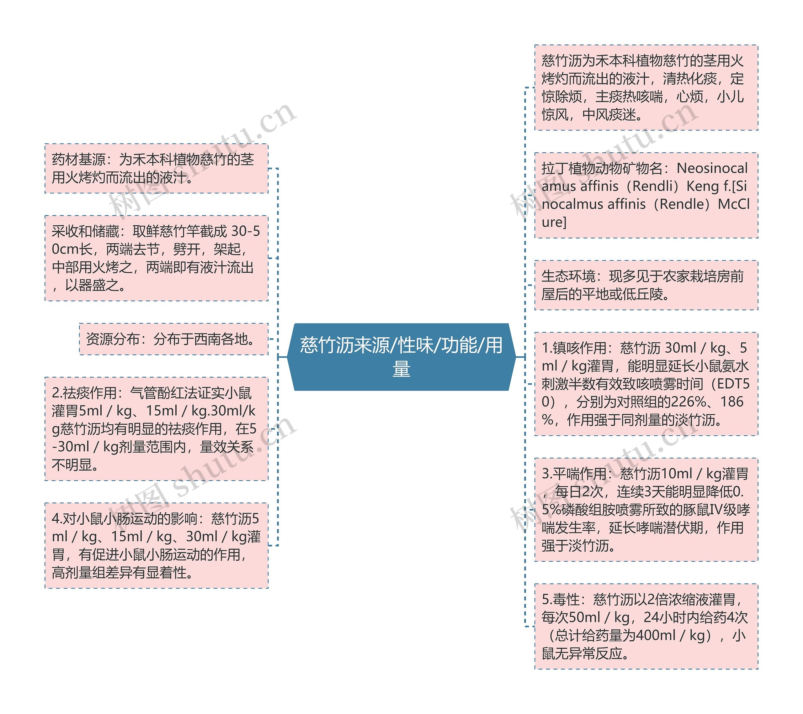 慈竹沥来源/性味/功能/用量思维导图