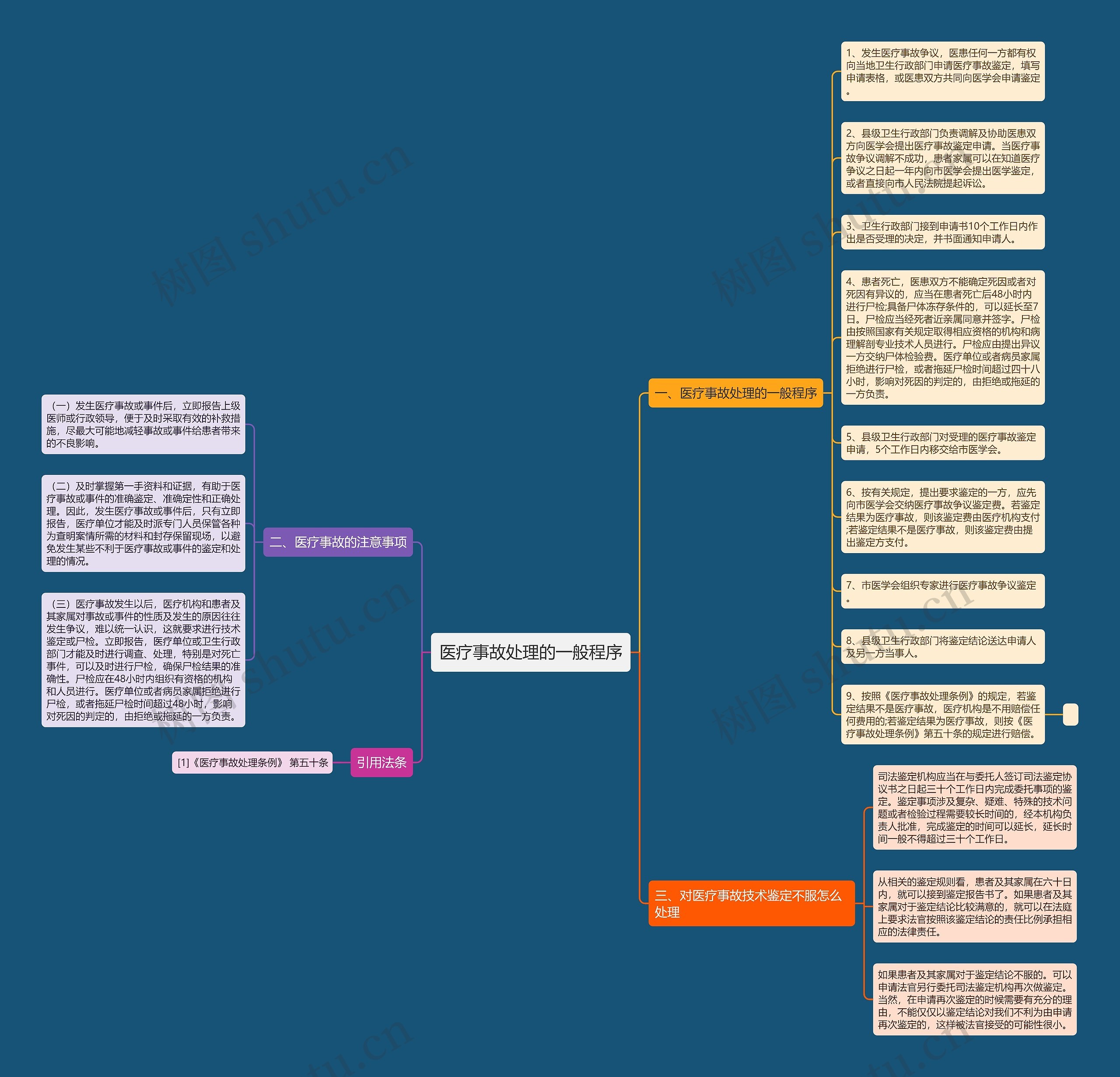 医疗事故处理的一般程序思维导图