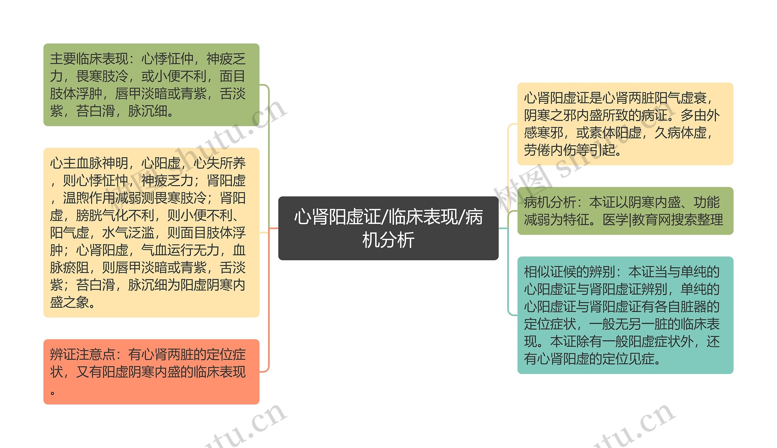 心肾阳虚证/临床表现/病机分析