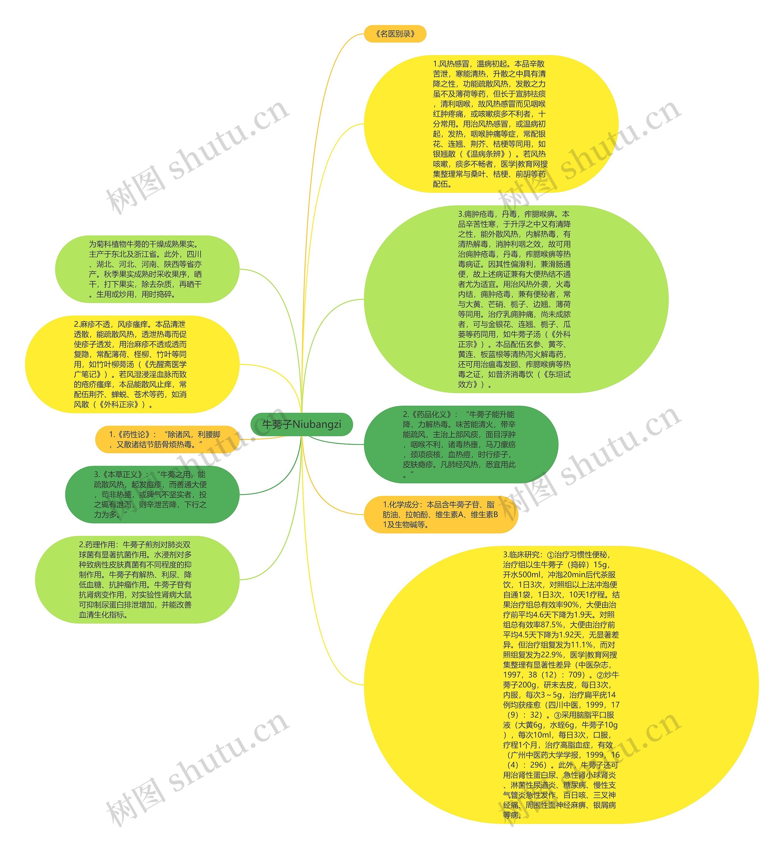 牛蒡子Niubangzi思维导图