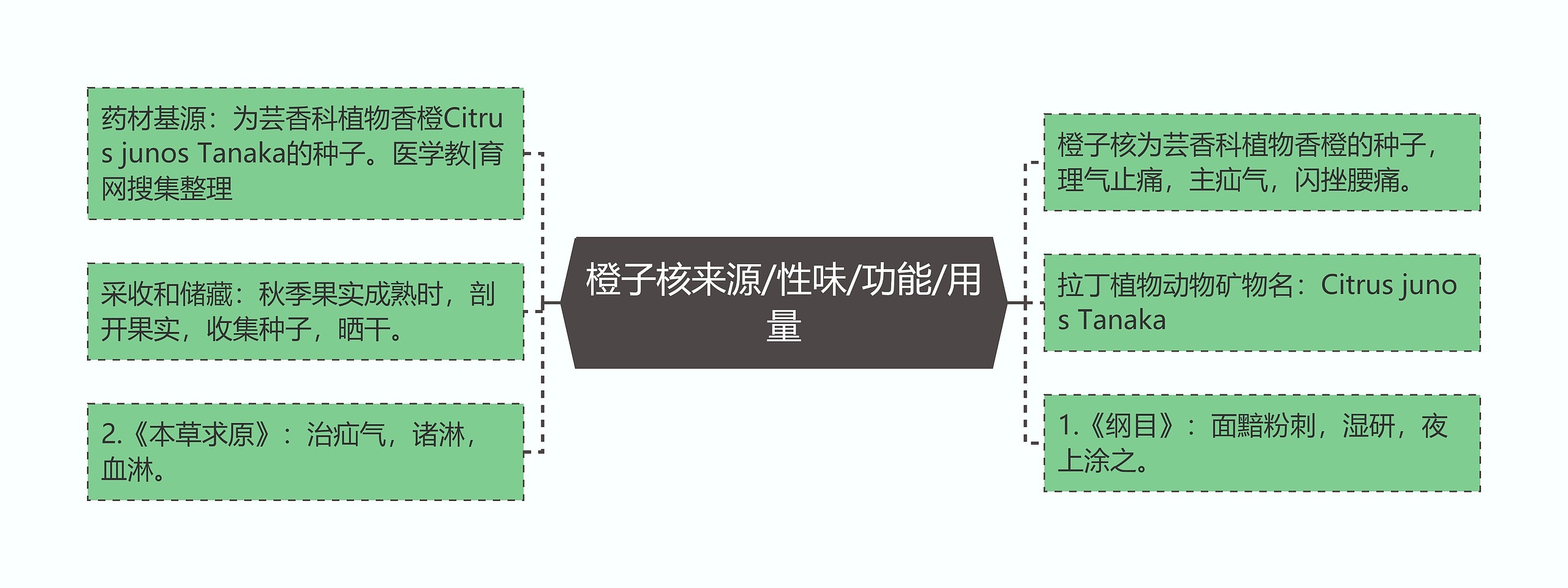 橙子核来源/性味/功能/用量