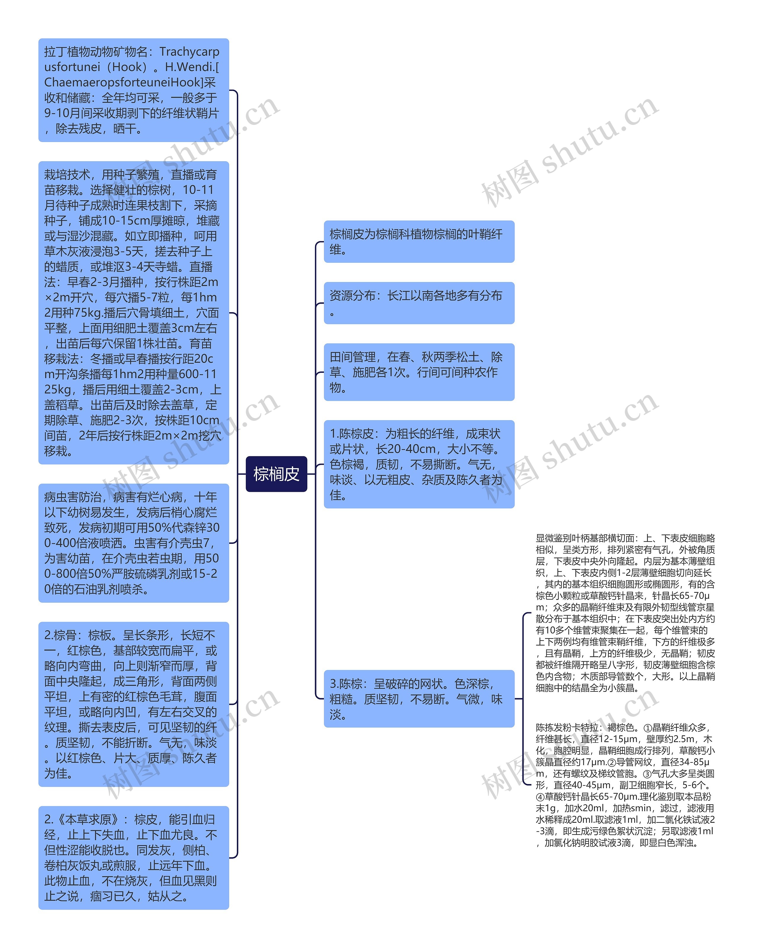 棕榈皮思维导图