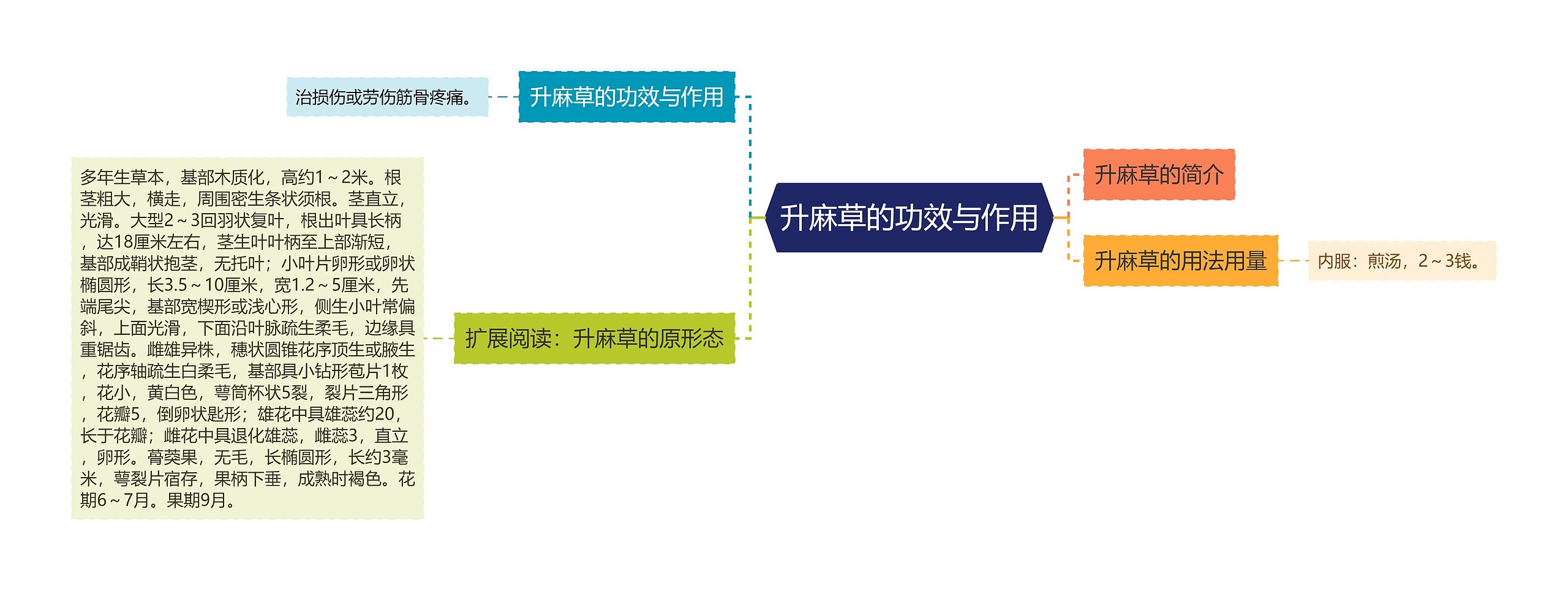 升麻草的功效与作用思维导图