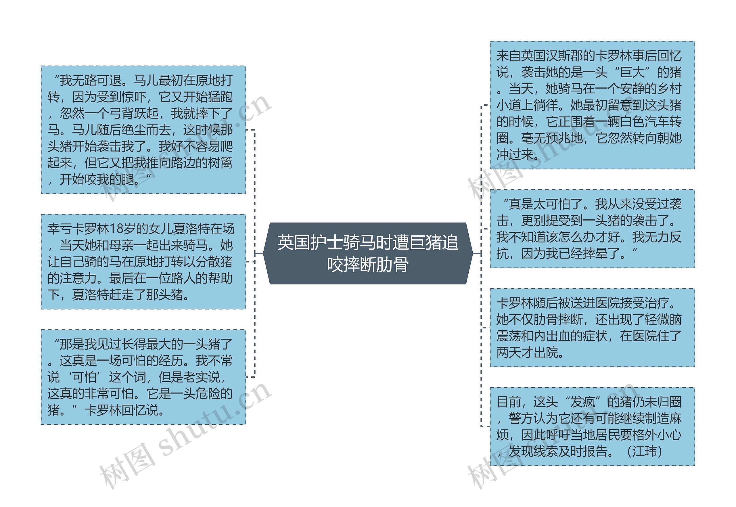 英国护士骑马时遭巨猪追咬摔断肋骨思维导图