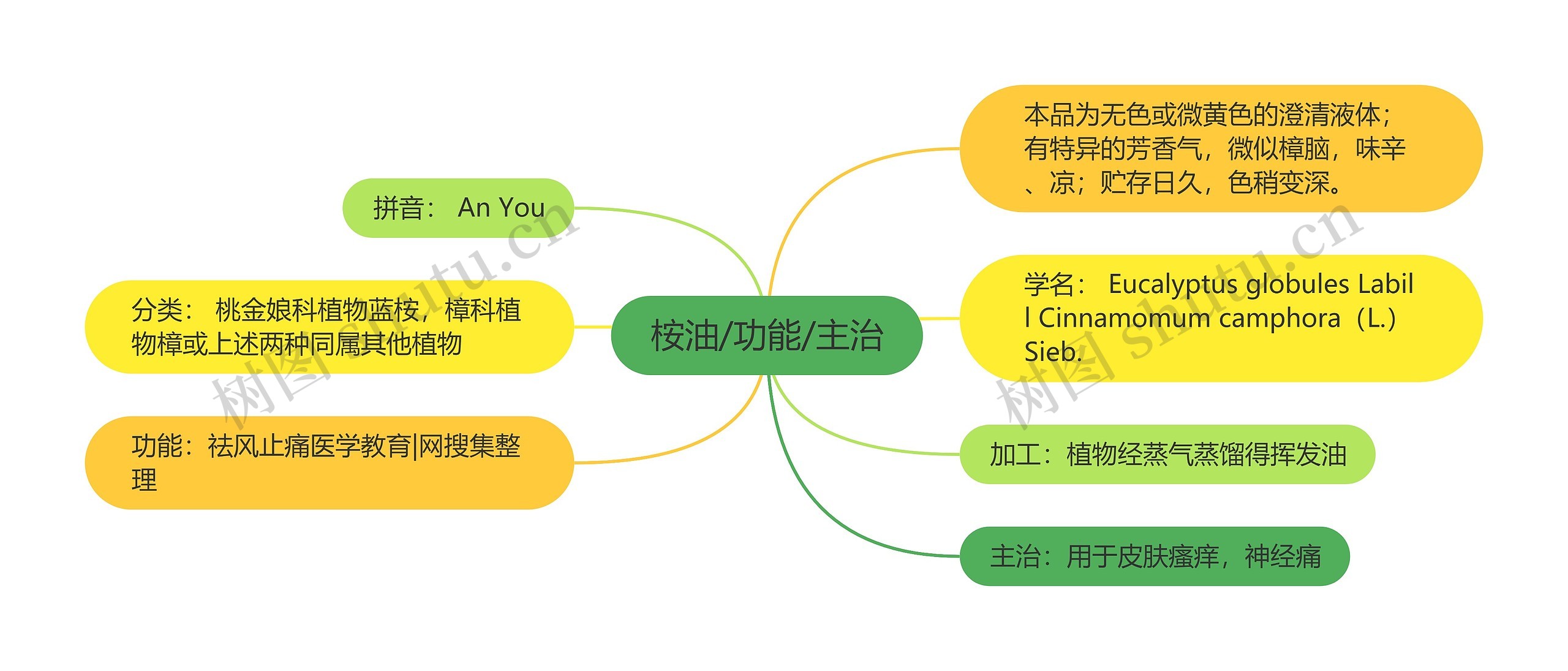桉油/功能/主治