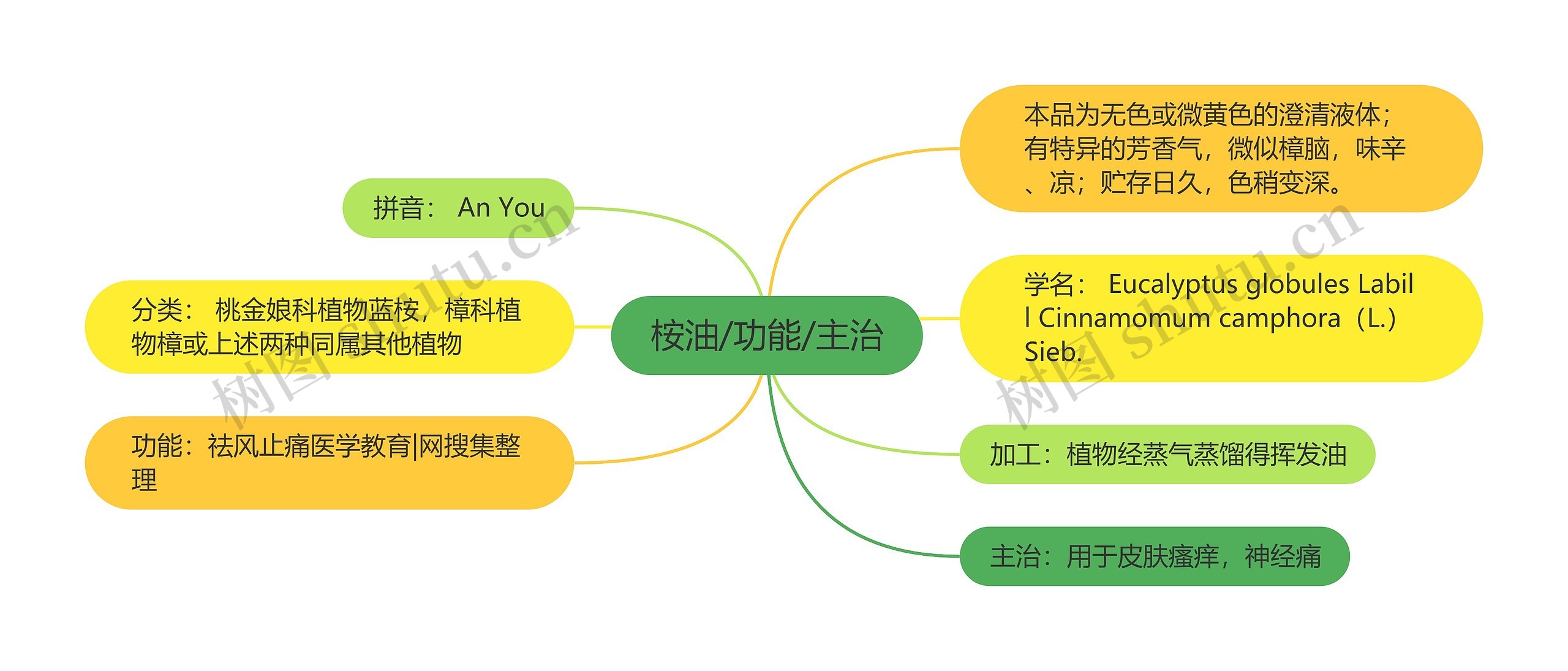 桉油/功能/主治思维导图