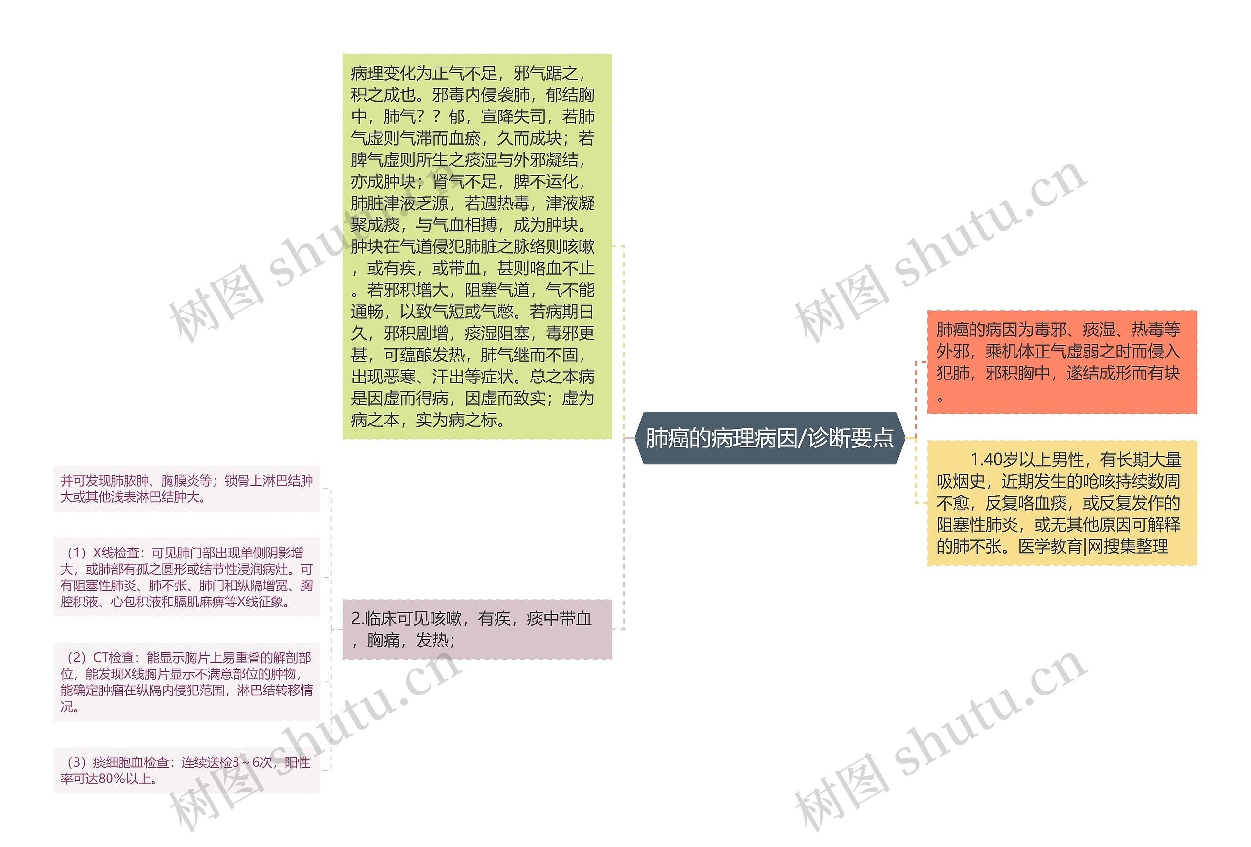 肺癌的病理病因/诊断要点思维导图