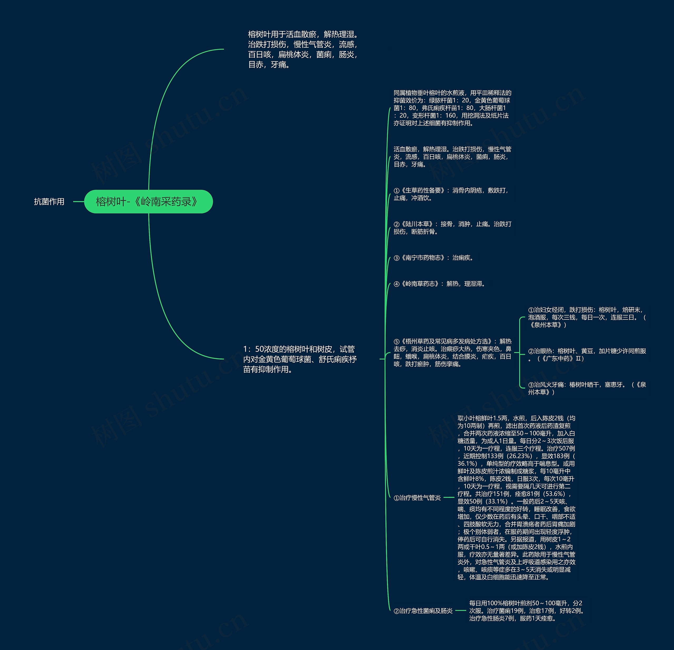 榕树叶-《岭南采药录》思维导图
