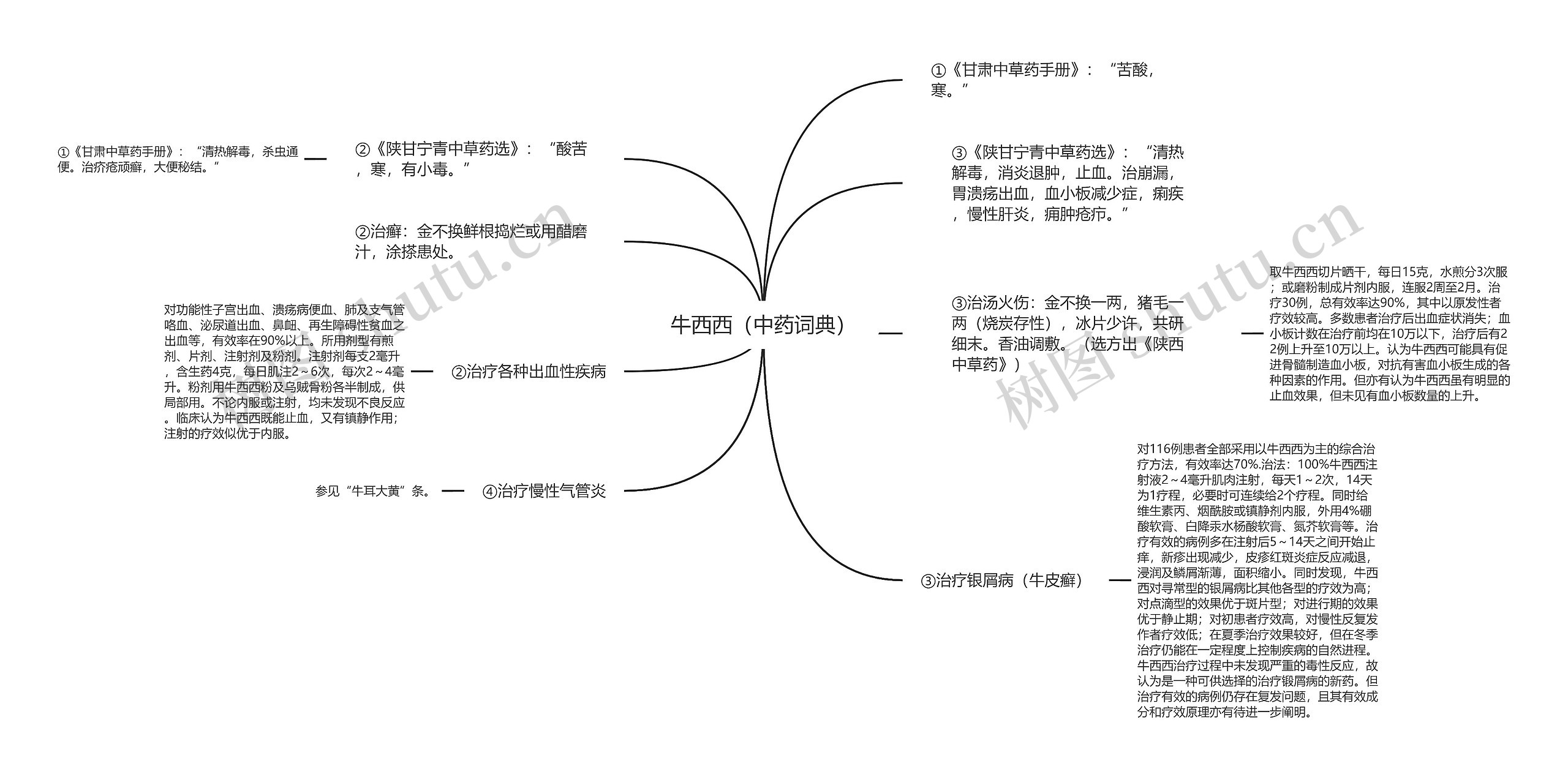 牛西西（中药词典）思维导图