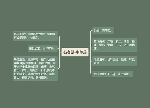 石老鼠-中草药