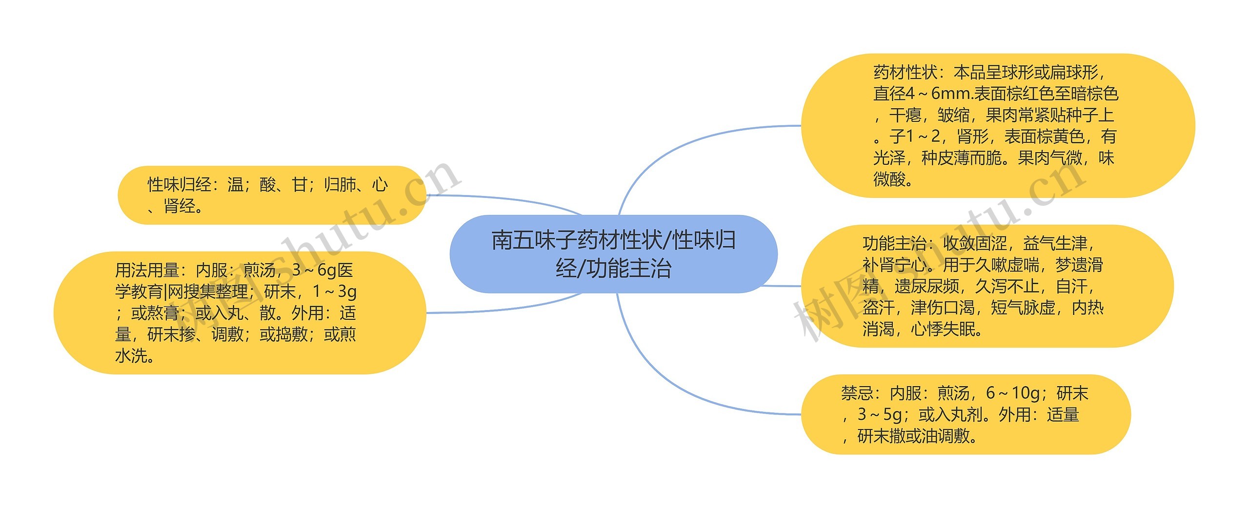 南五味子药材性状/性味归经/功能主治思维导图