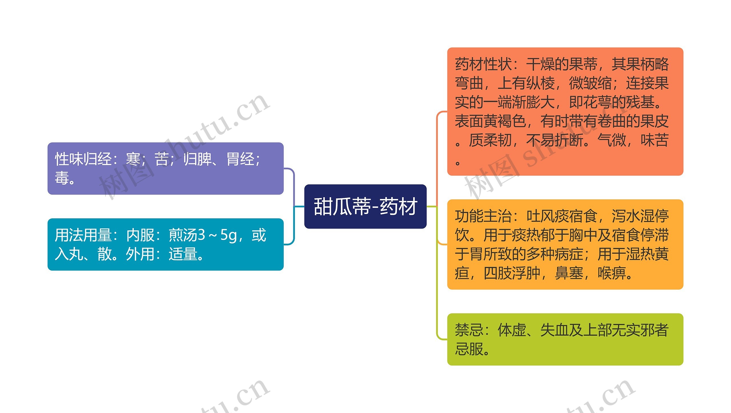 甜瓜蒂-药材思维导图高清图 甜瓜蒂-药材思维导图