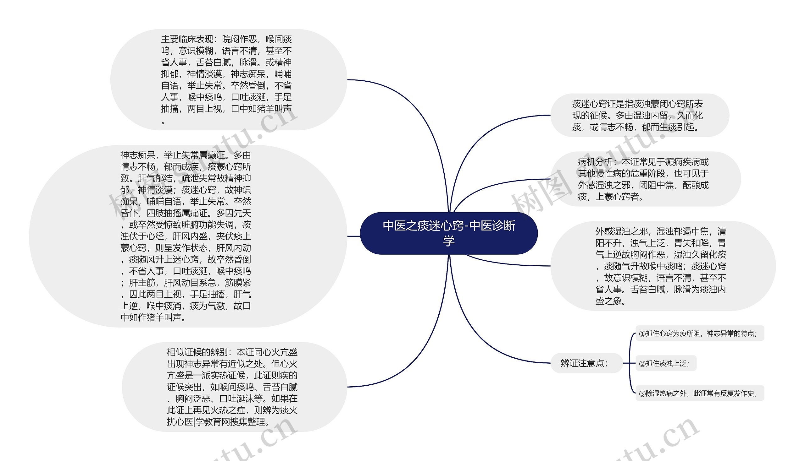 中医之痰迷心窍-中医诊断学思维导图