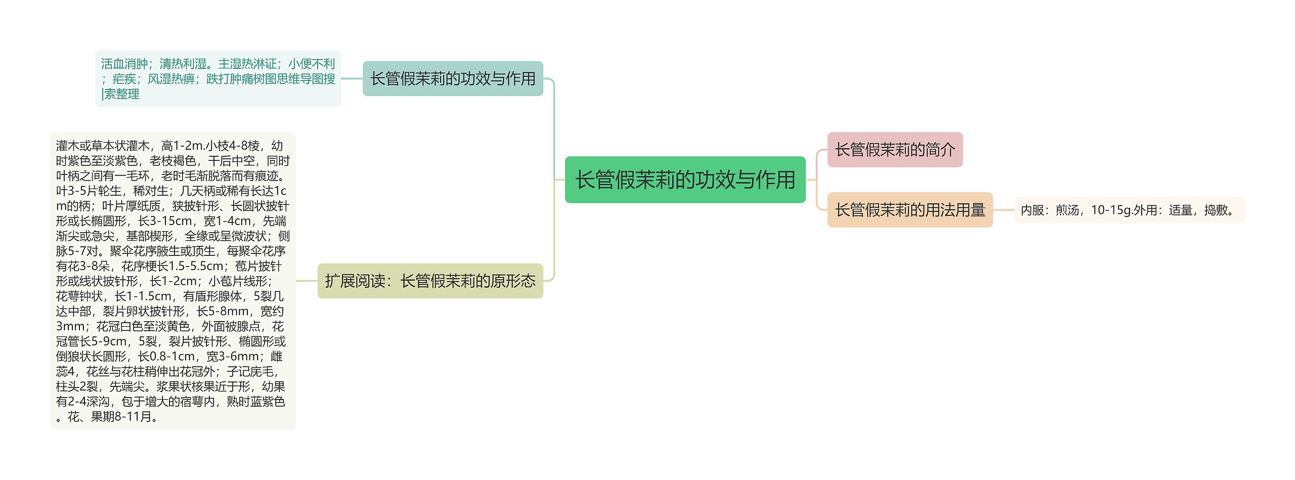 长管假茉莉的功效与作用思维导图