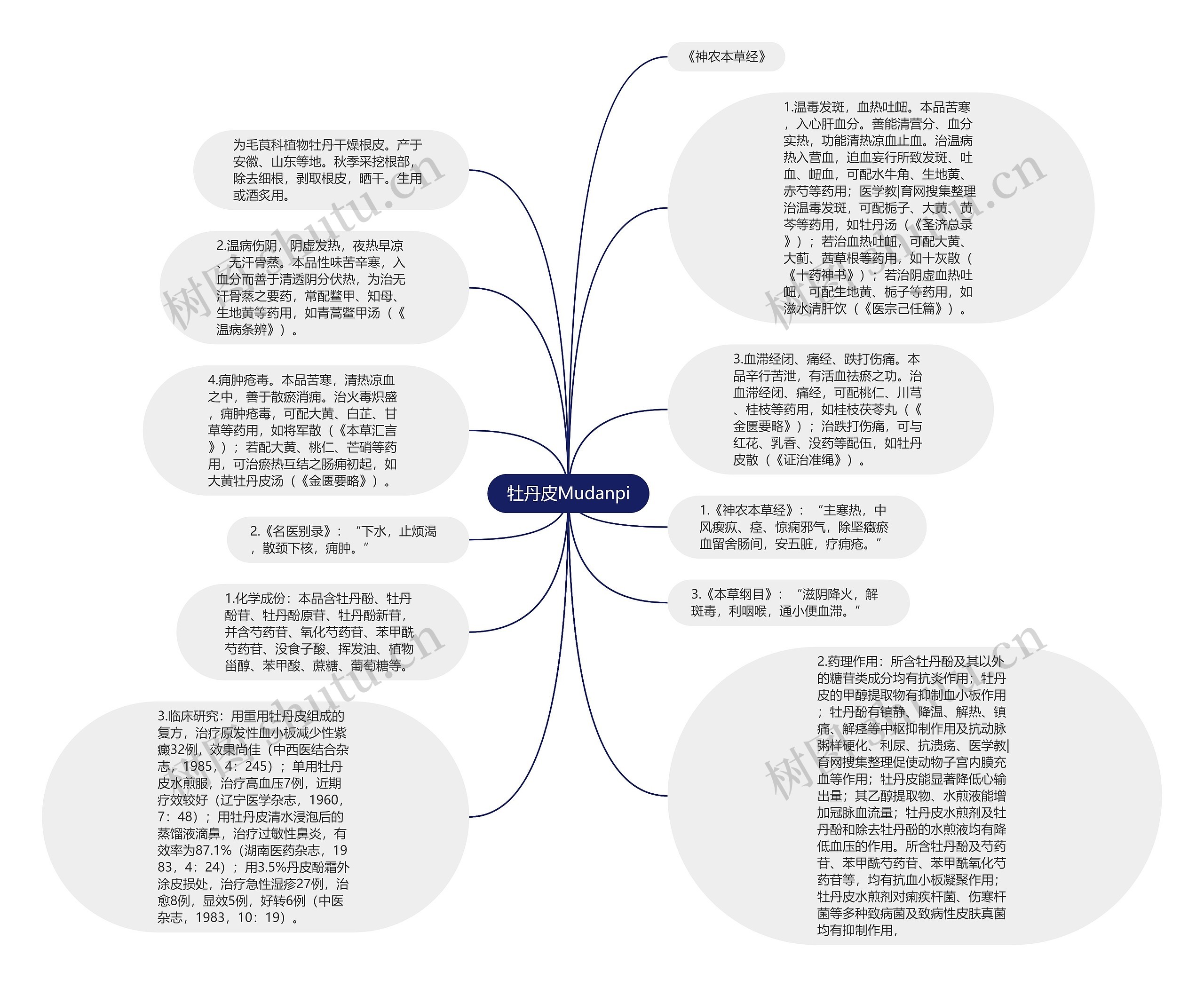 牡丹皮Mudanpi思维导图